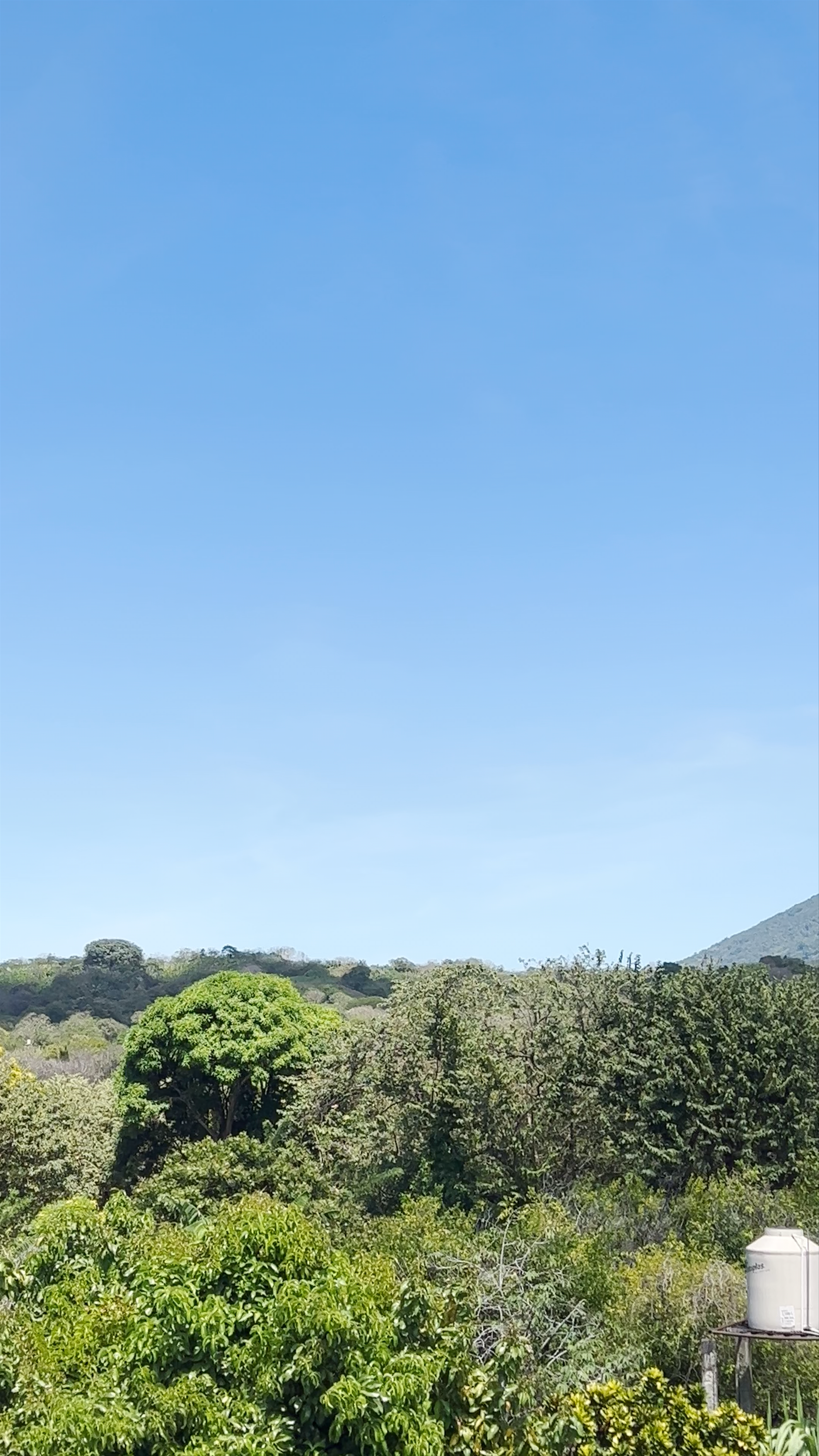 Hostal Y Mirador Papasito