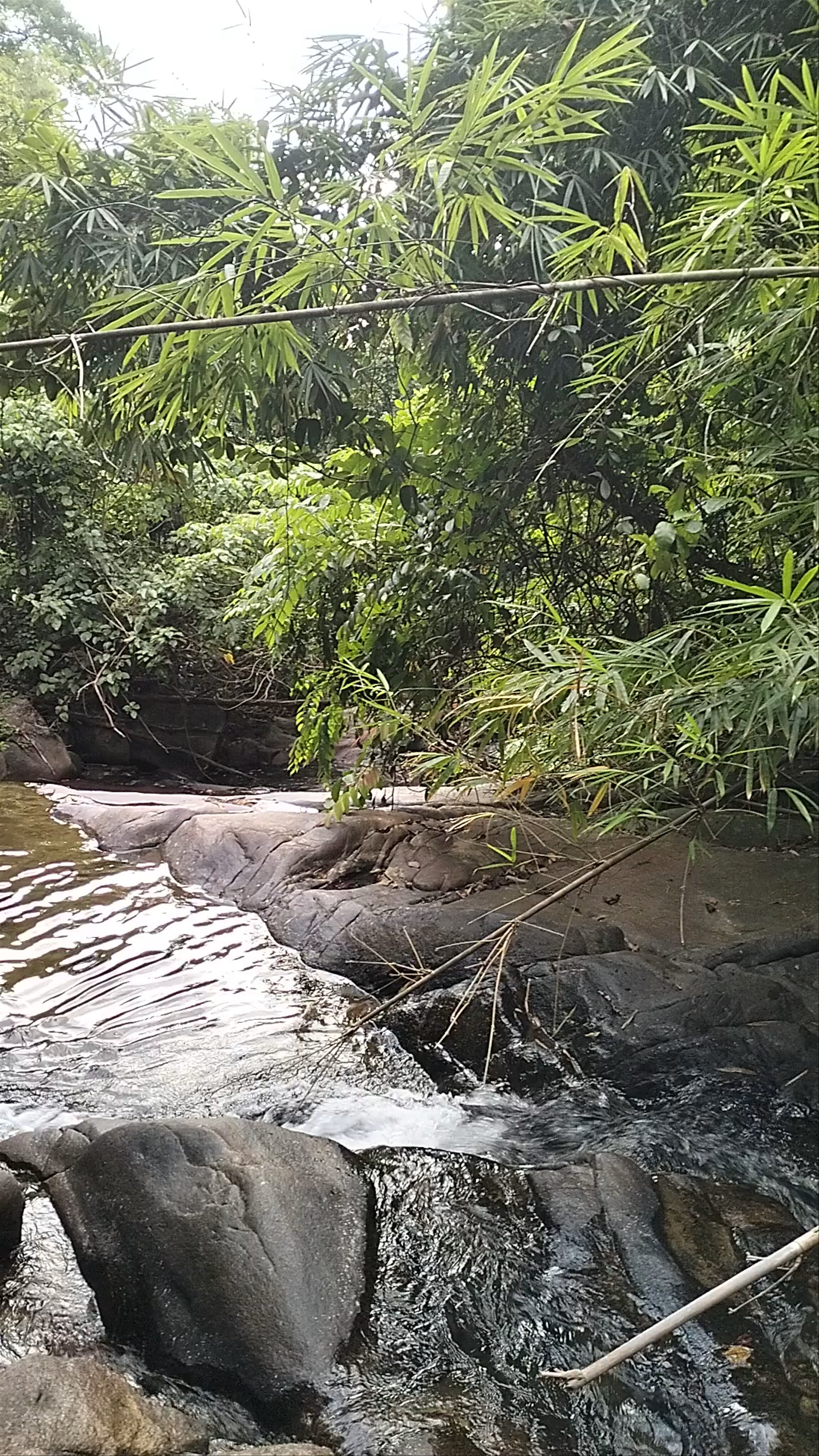 Ton Pling Waterfall: Serene Forest Escape in Phang Nga, Thailand