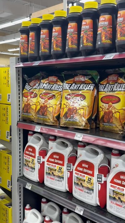 Ace Hardware - Large choice of pesticides! - Hardware Stores Near Me - Spring, Texas