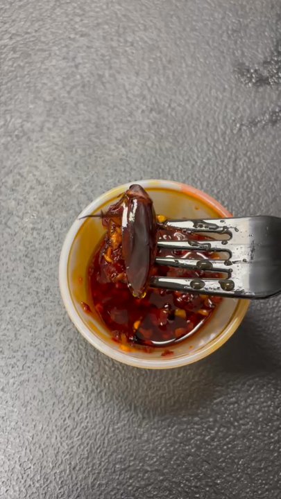 China Island - There was a ROACH in my chili pepper sauce! DO NOT Eat here unless you like to add an additional protein. - Chinese Near Me - Mansfield, Texas