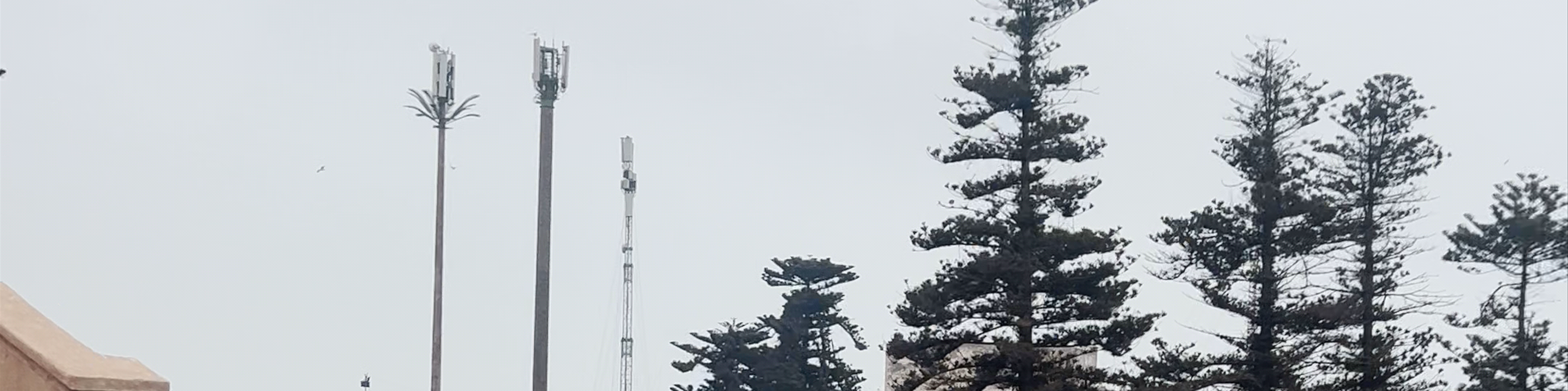 Essaouira