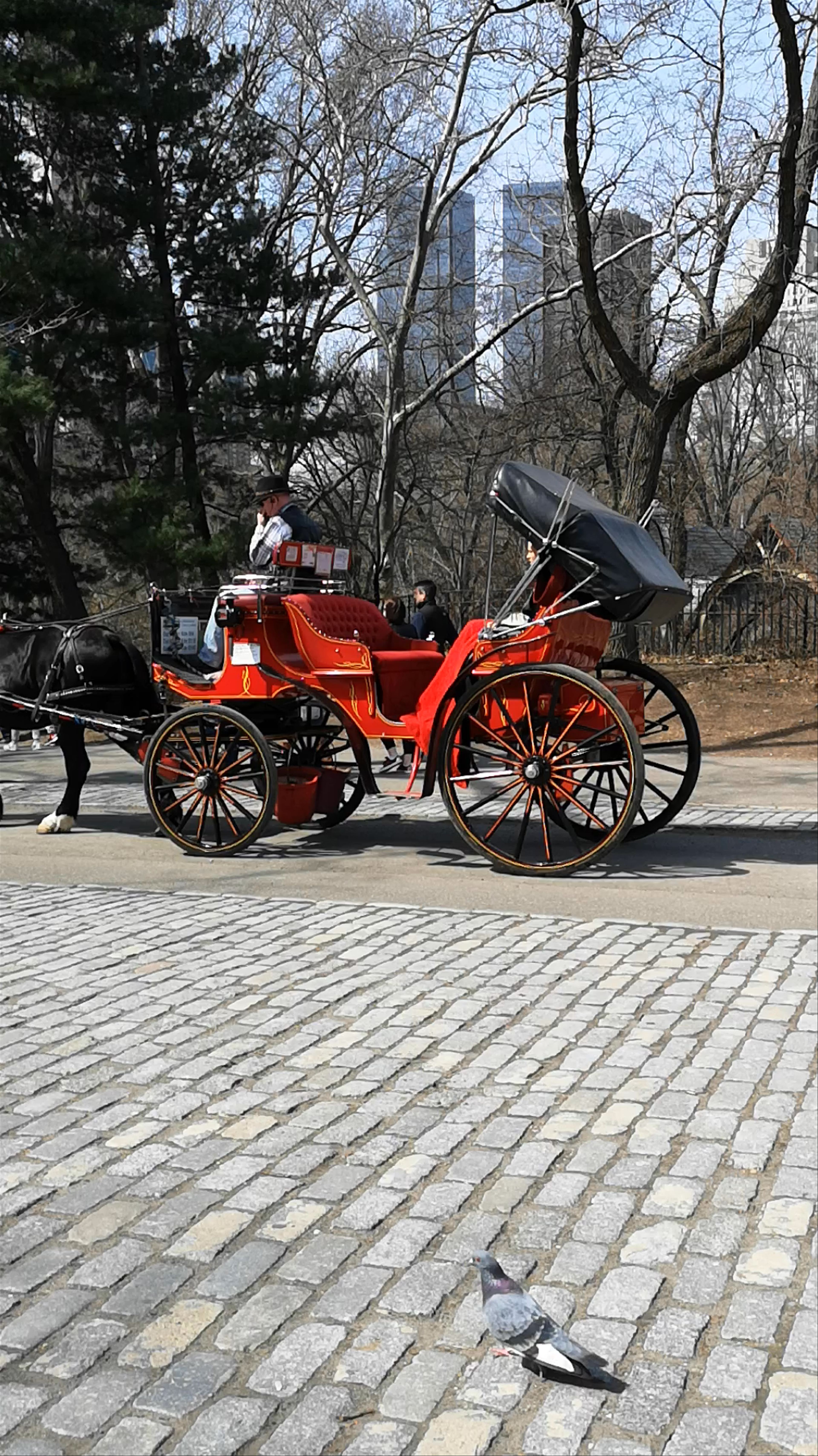 Horse-Drawn Carriage Ride in Central Park, New York