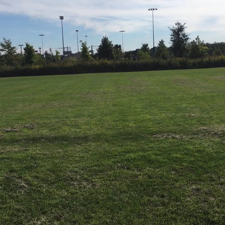 Community Bark West - Dog Parks Near Me - Glenview, Illinois