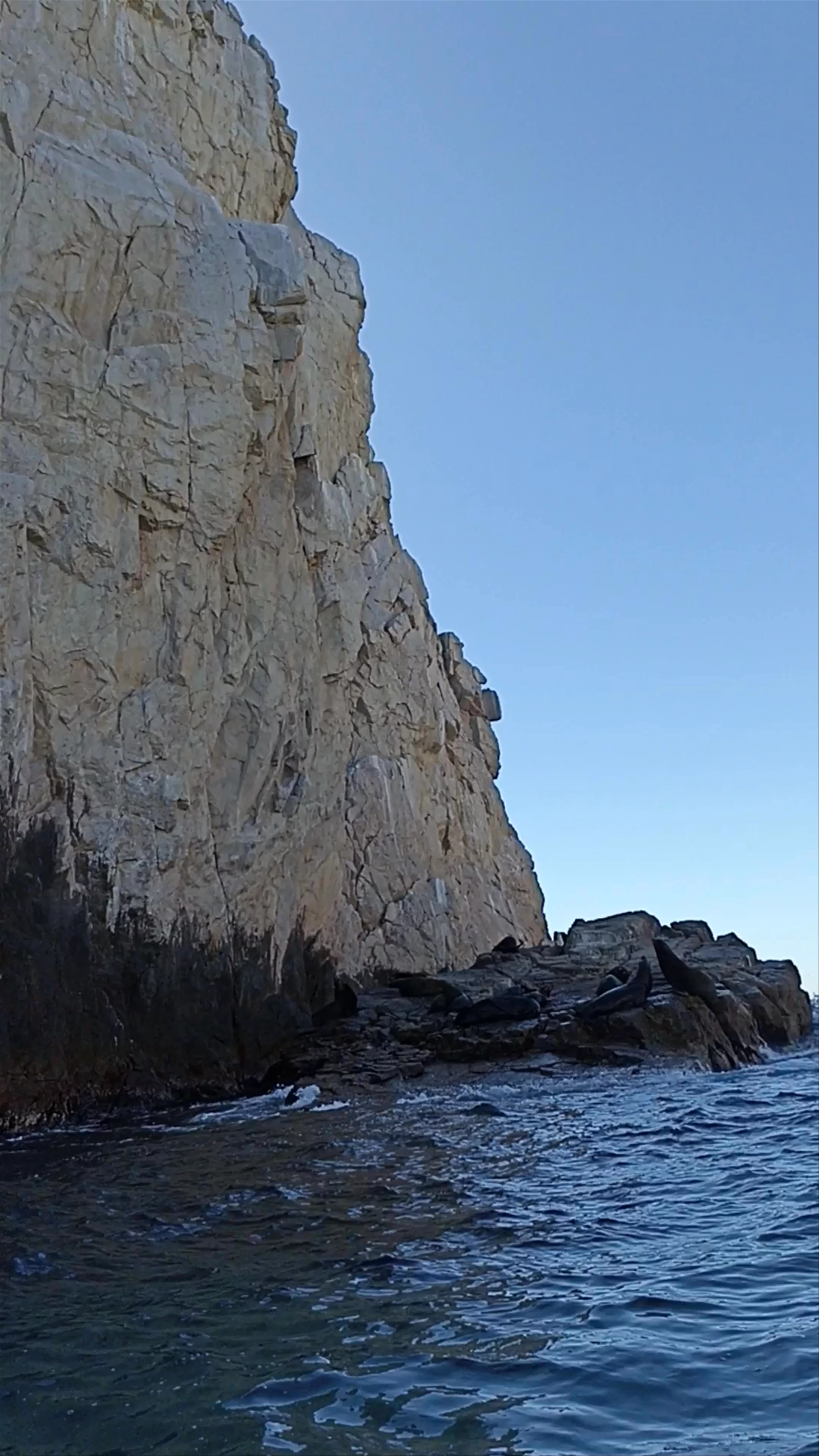 Envatours Glass-Bottom Boat Tour