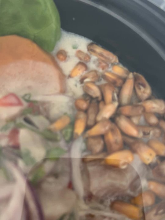 Mancora Peruvian Cuisine - Bug in my Tupperware - Peruvian Near Me - Alhambra, California