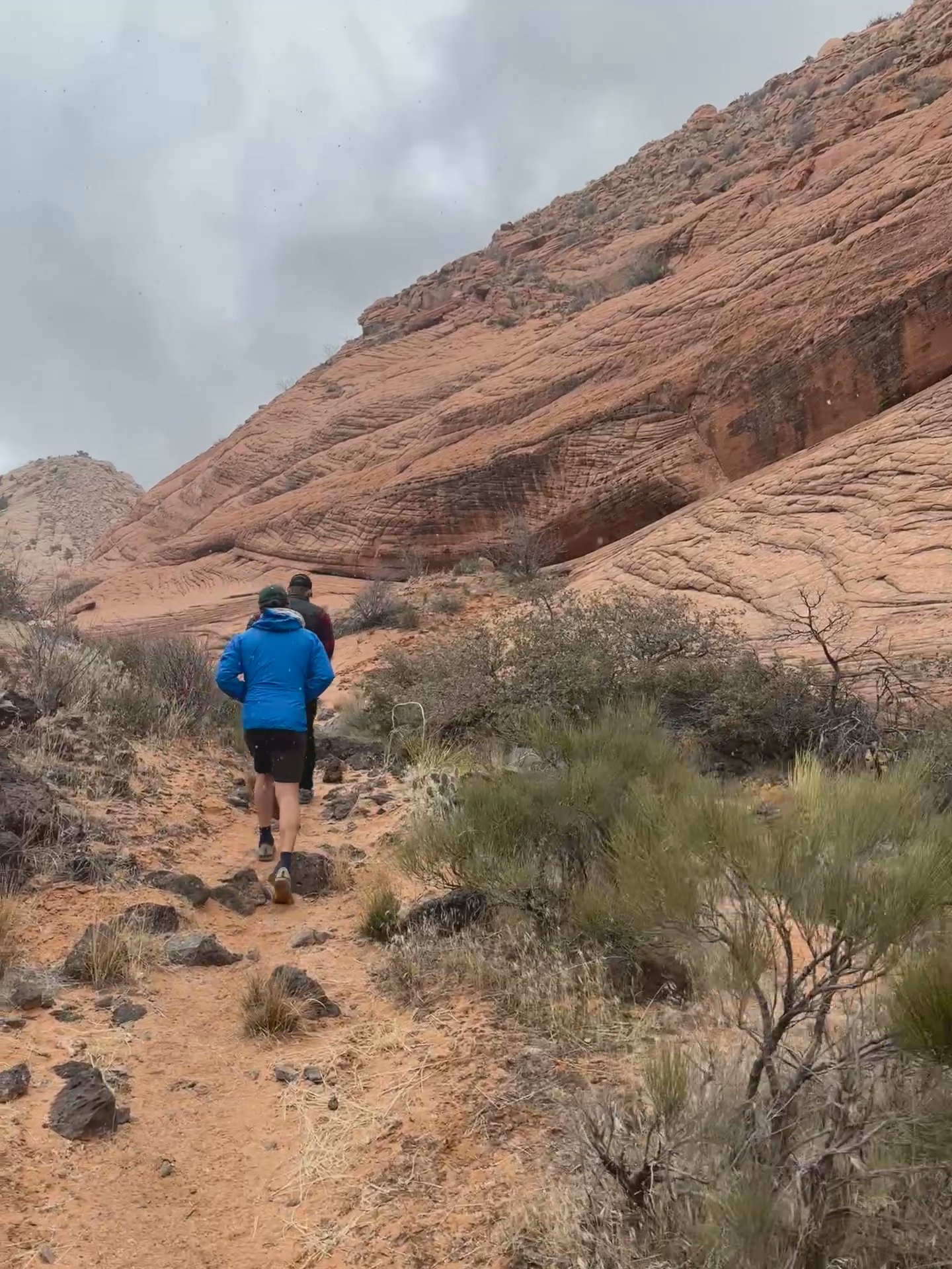 brittany-penn-strava-cyclist-profile