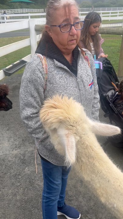 Bluebird Farm Alpacas - Attraction Farms Near Me - Peapack, New Jersey