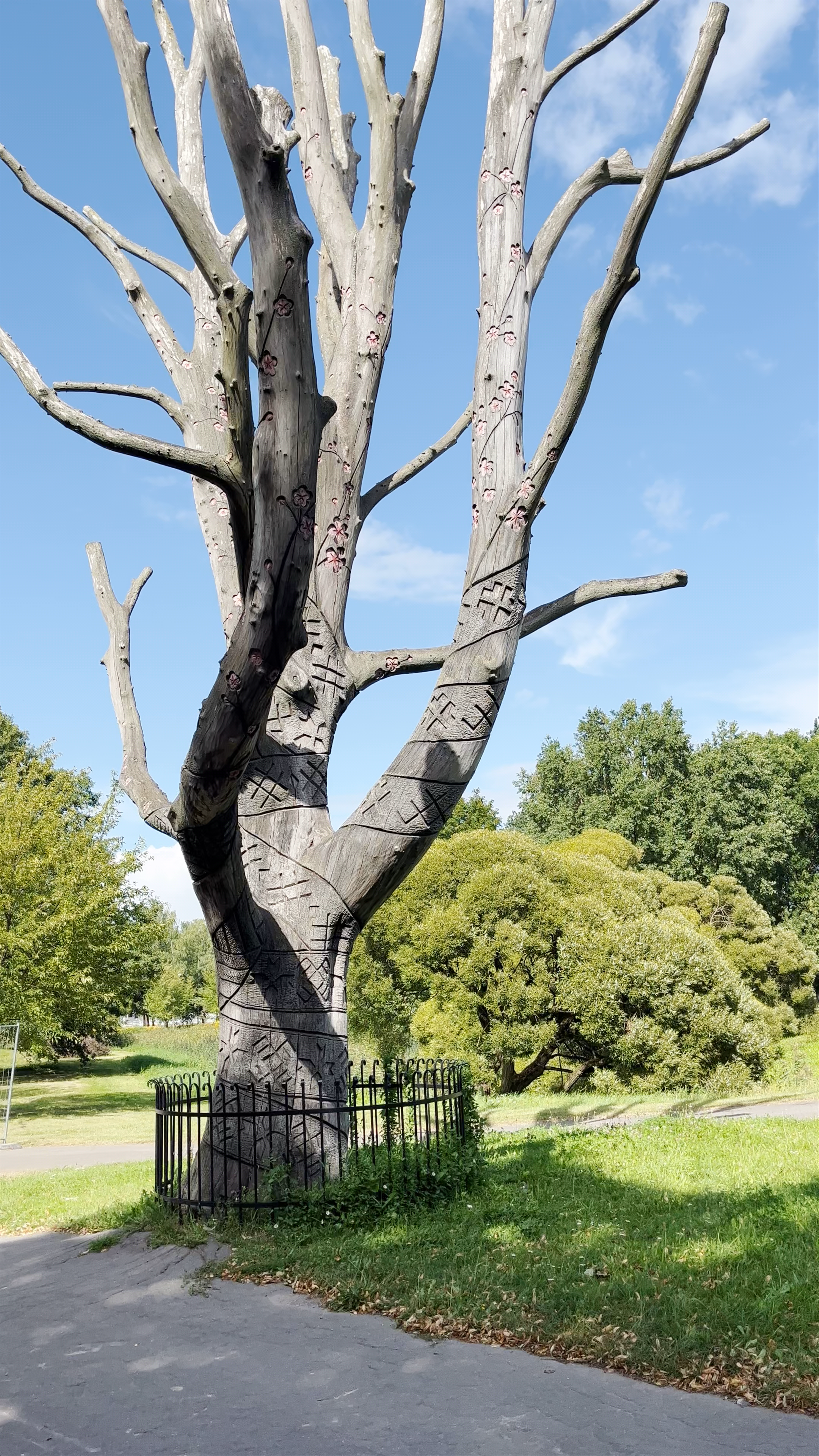 Sakura Garden Artfully Carved Tree in Riga's Zemgale Suburb