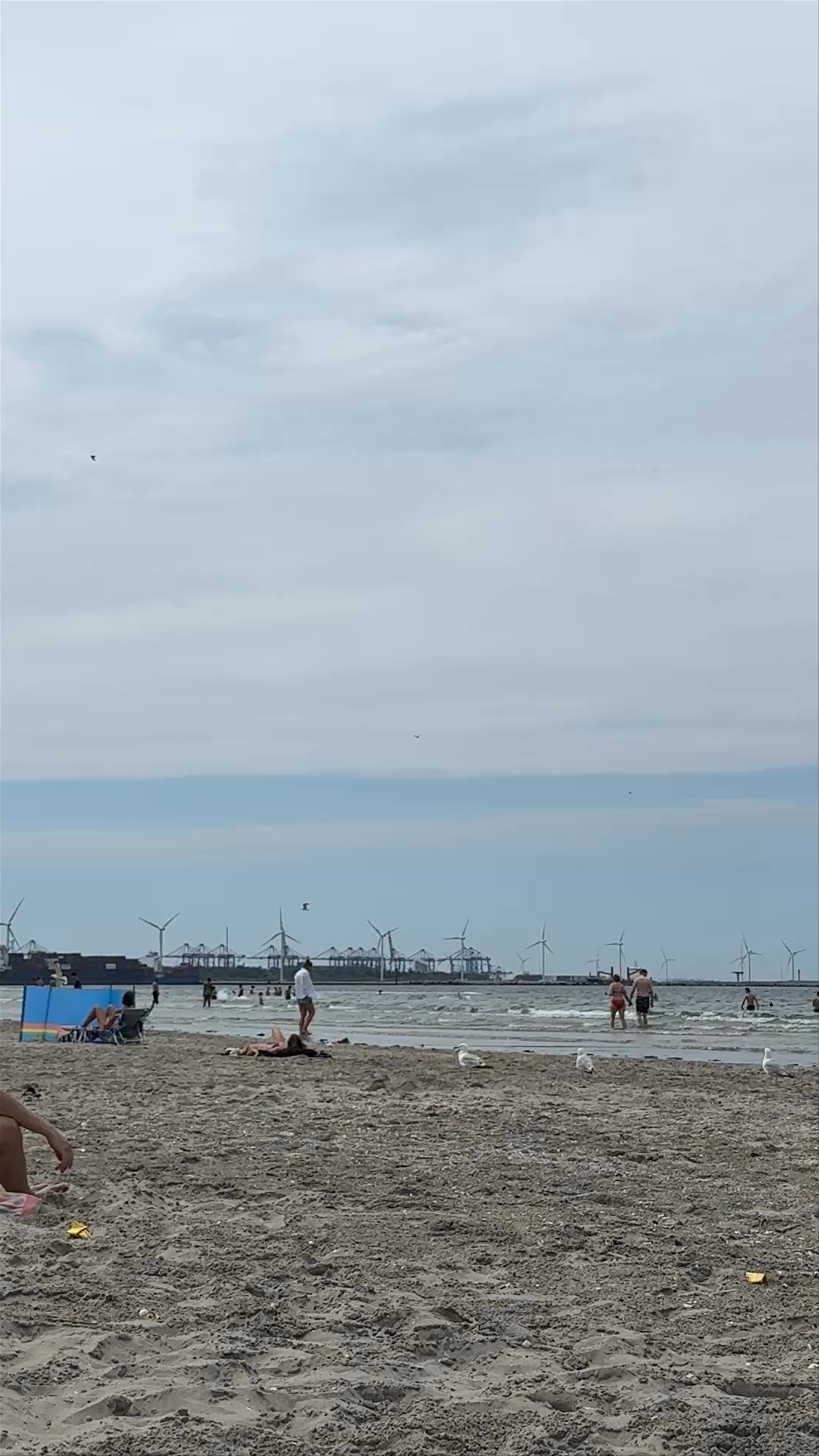 Hoek Van Holland Strand