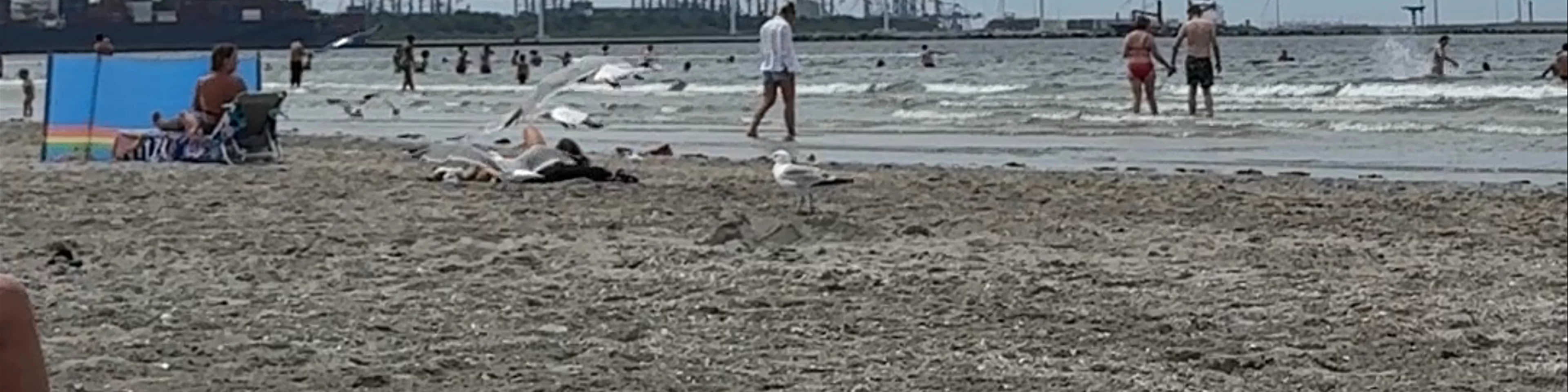 Hoek Van Holland Strand