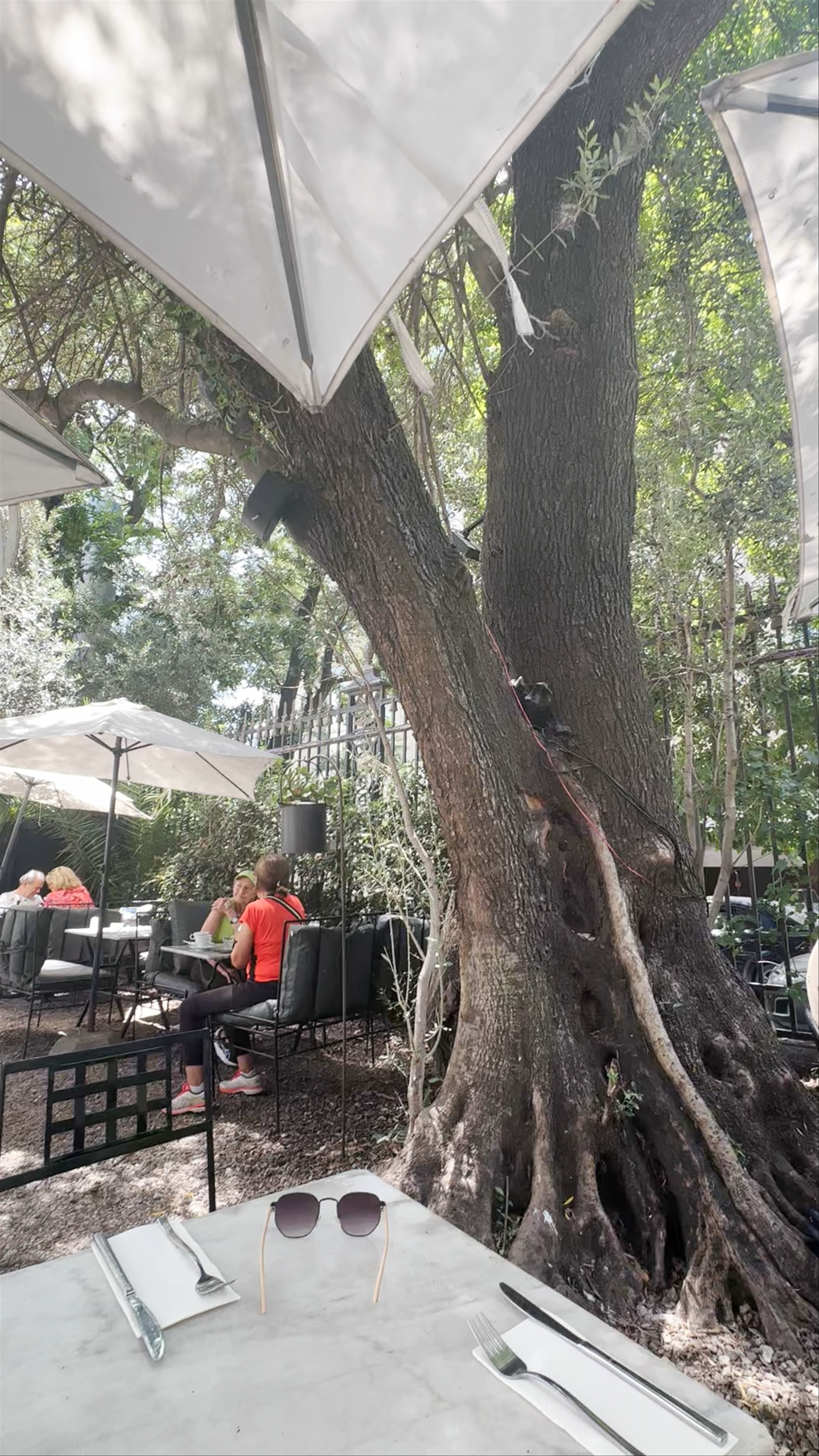 Morning Tranquility at Croque Madame, Buenos Aires
