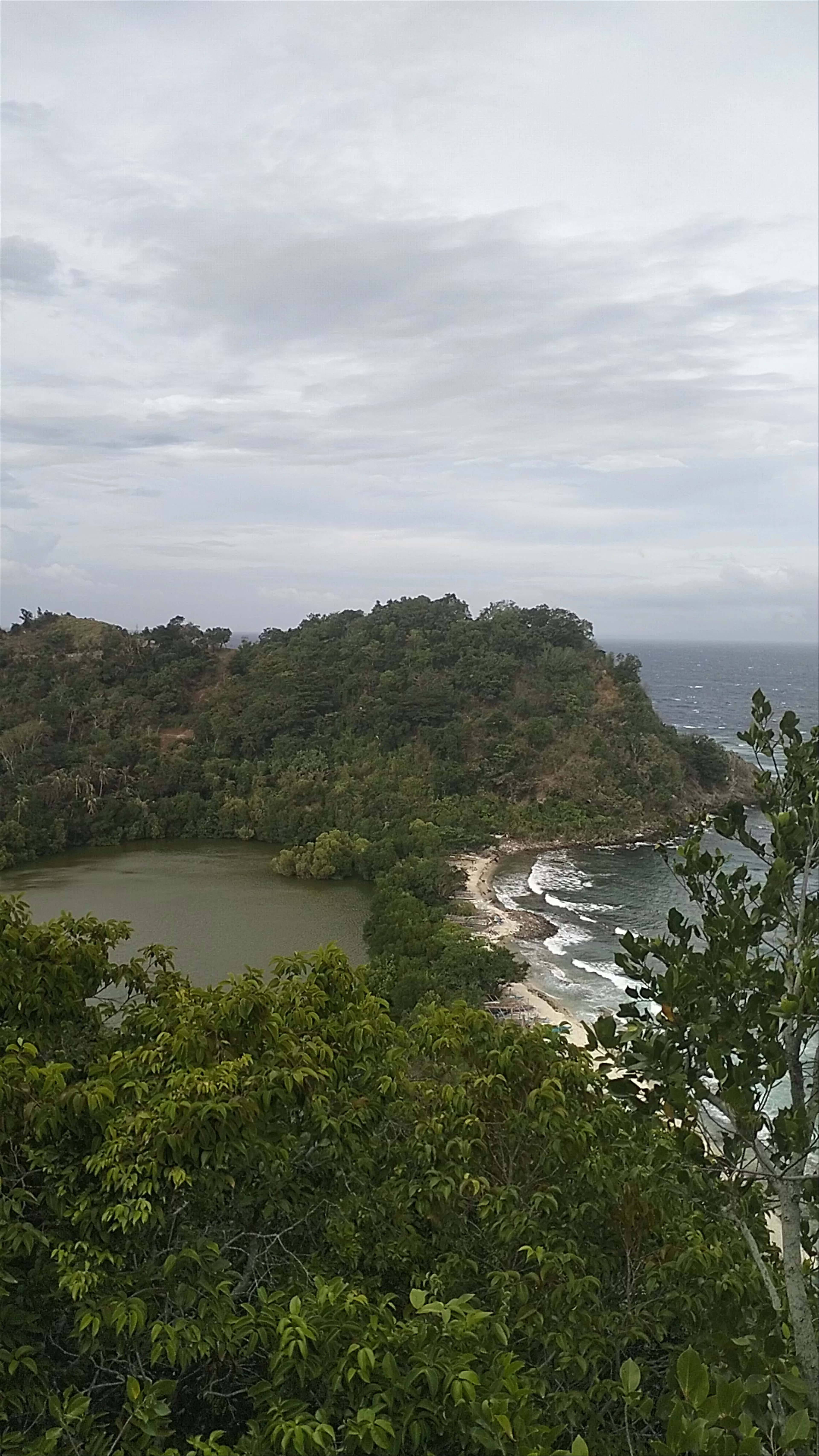 Apo Island Marine Sanctuary