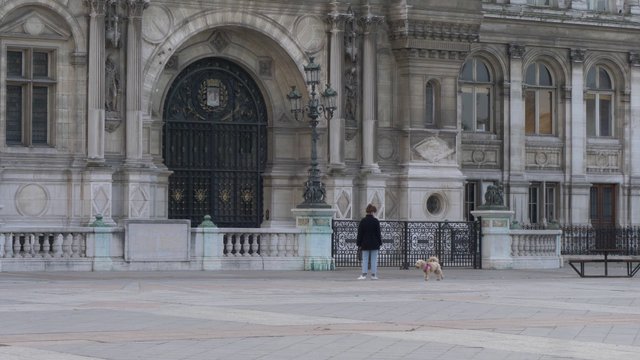 Woman with a dog near Hôtel de Ville