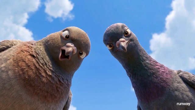 Pigeons in Time