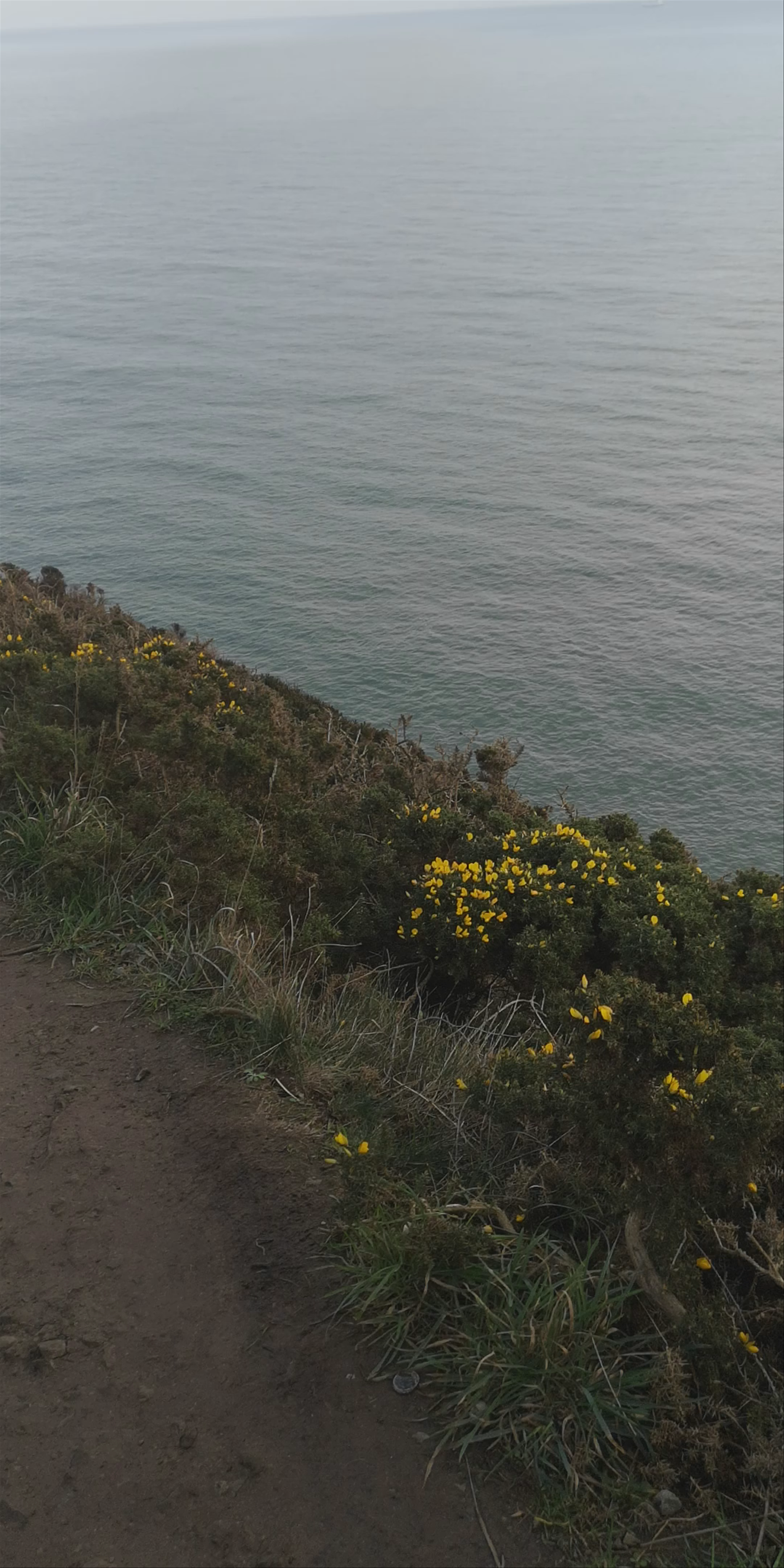 Howth Cliff Walk (Green Route): Breathtaking Coastal Hiking near Dublin