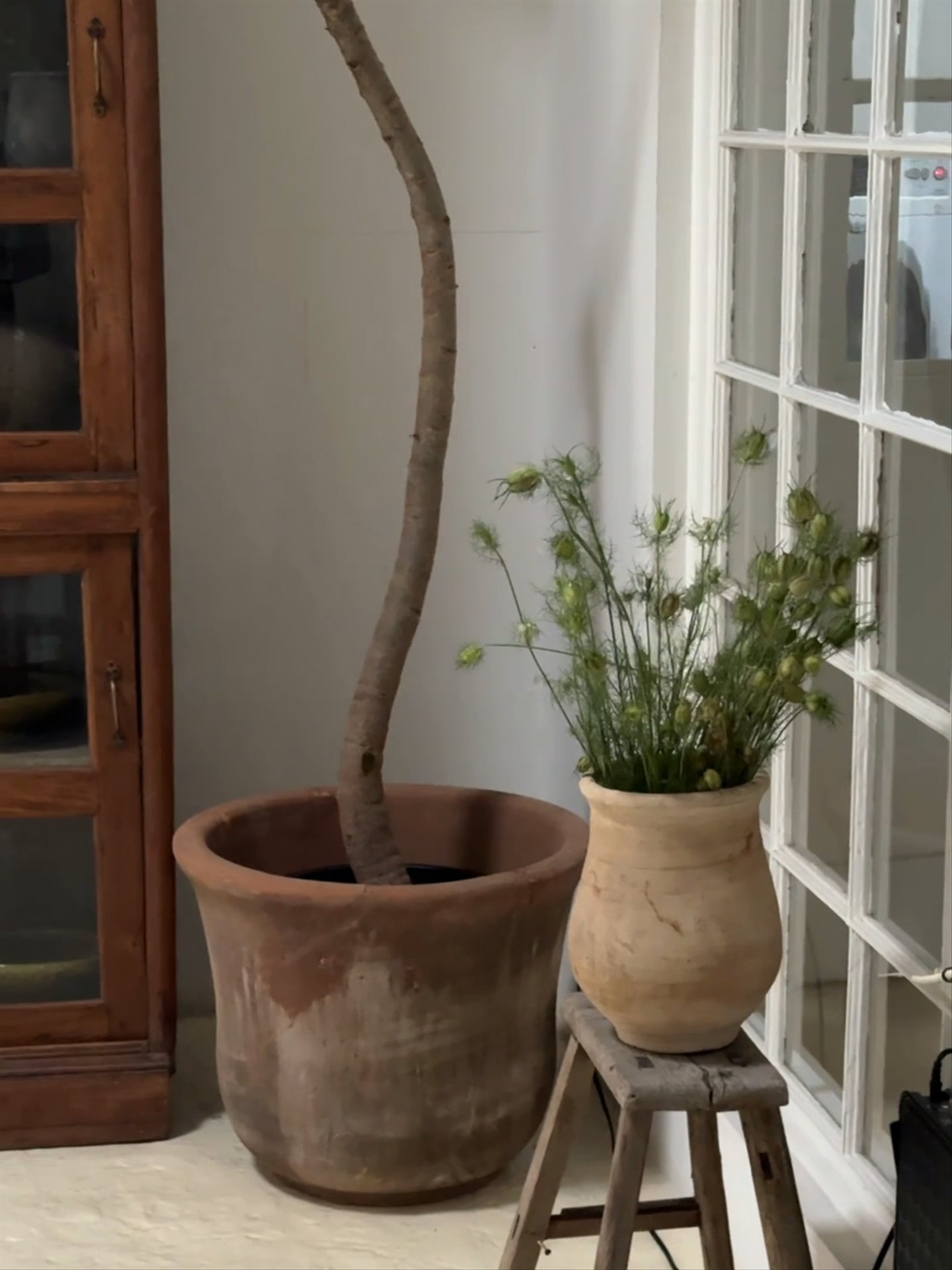 Mexican Fluted Planter