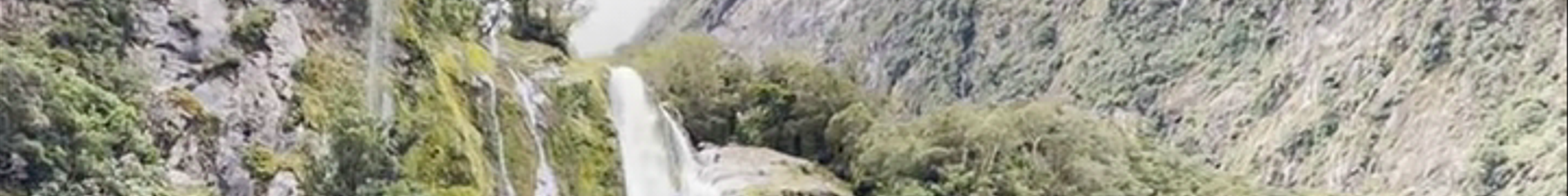 Tours & experiences in New Zealand