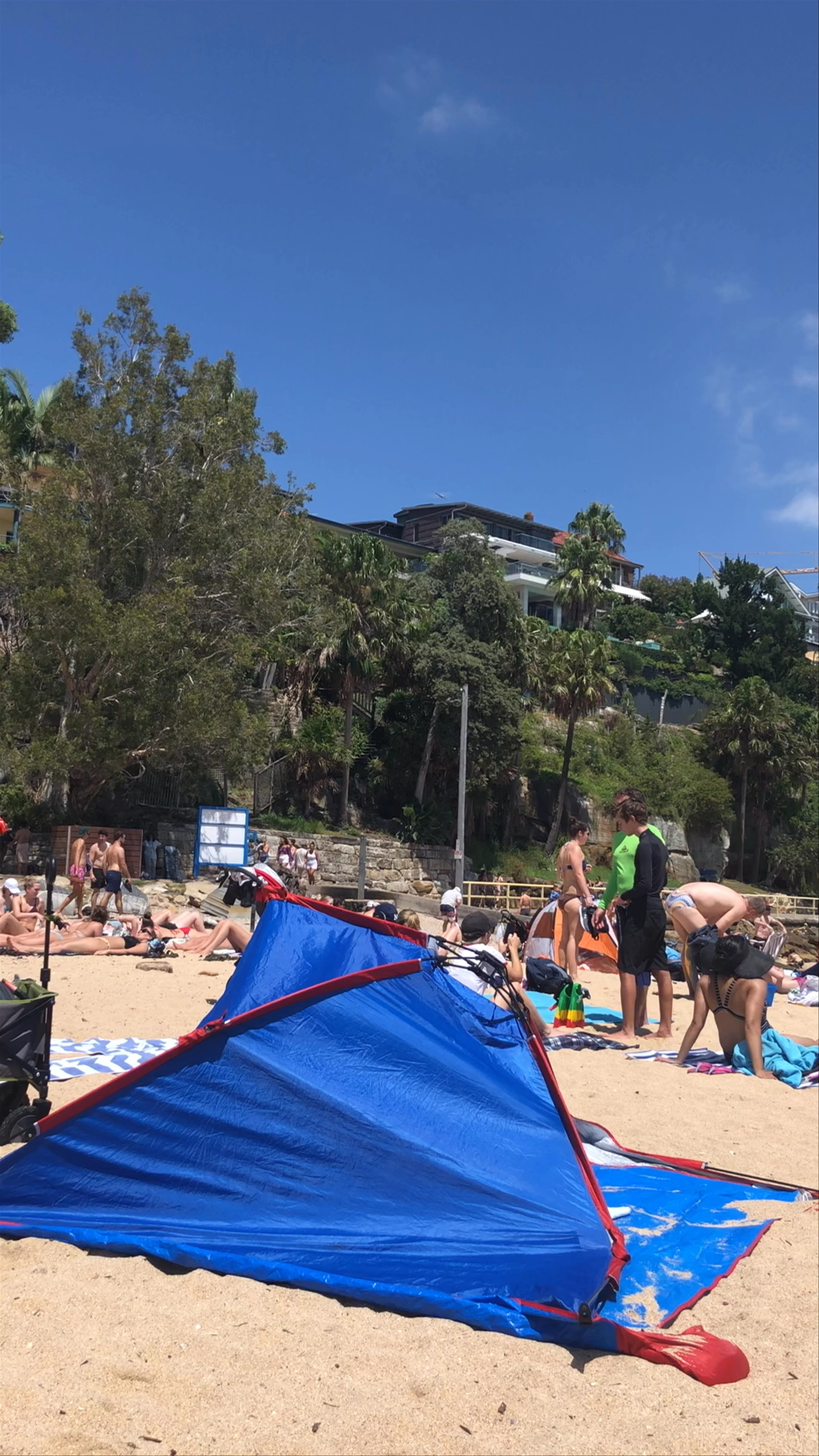 Shelly Beach