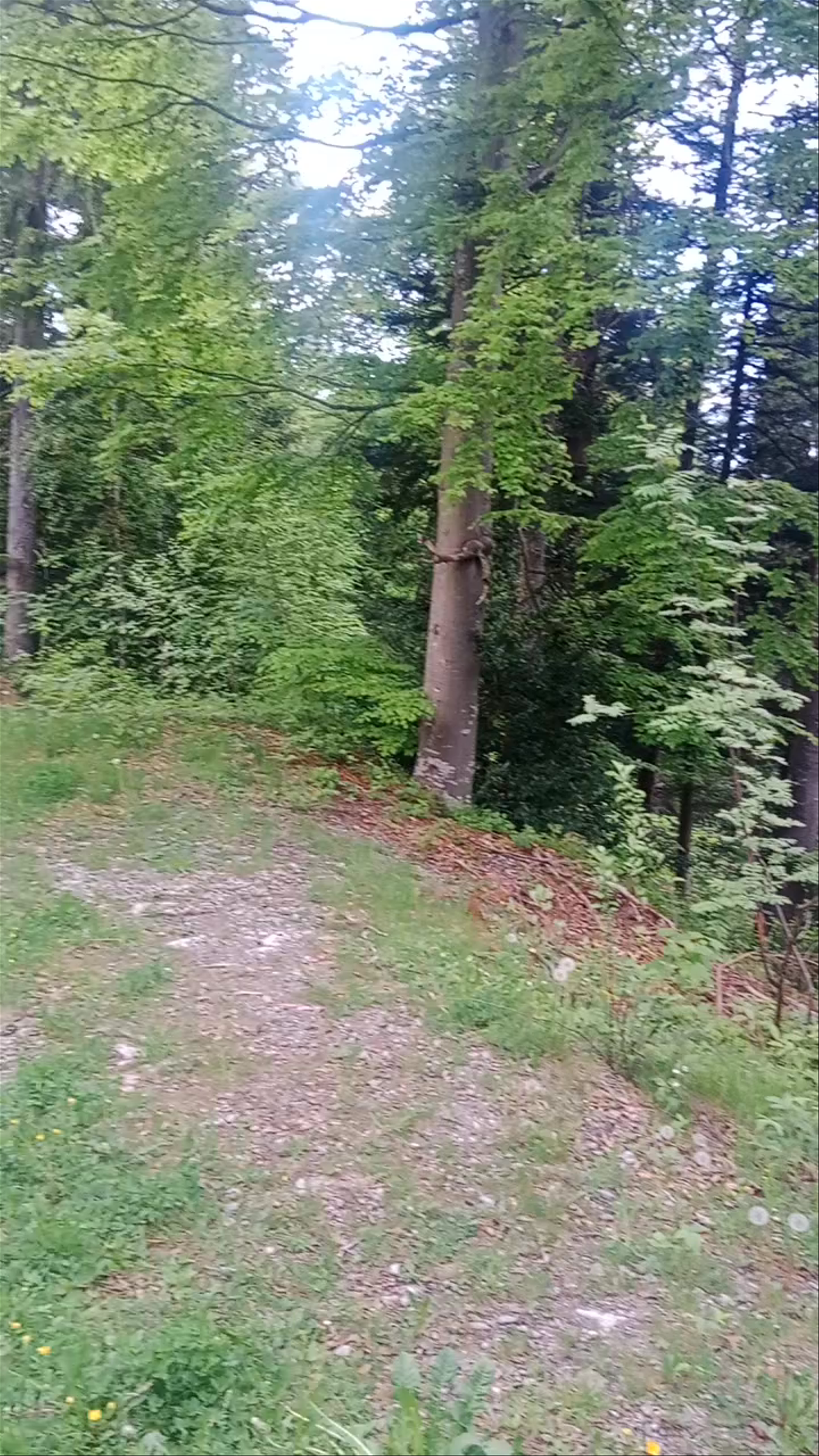 Karrenseilbahn - Bergstation