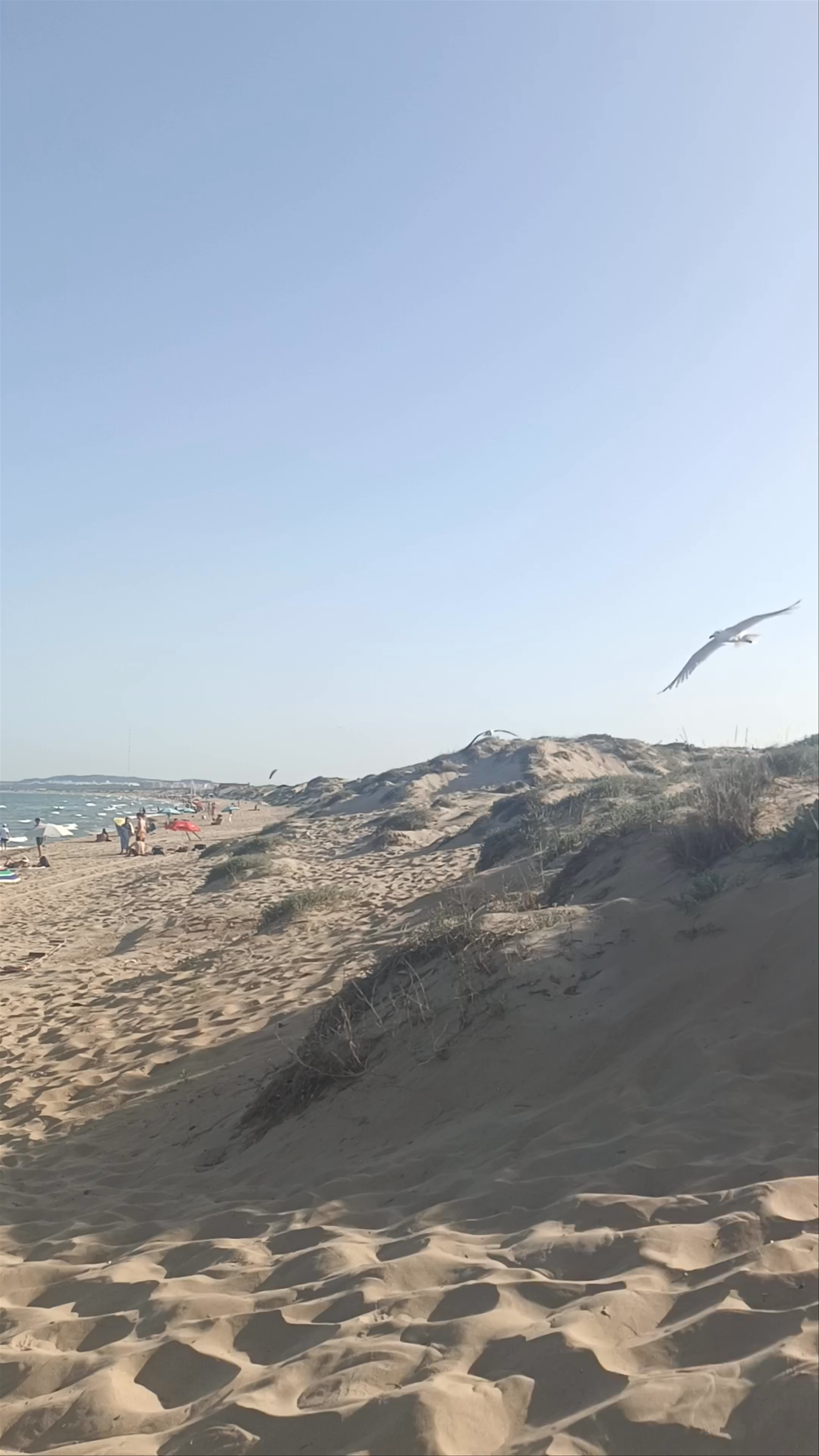 Playa de El Pinet