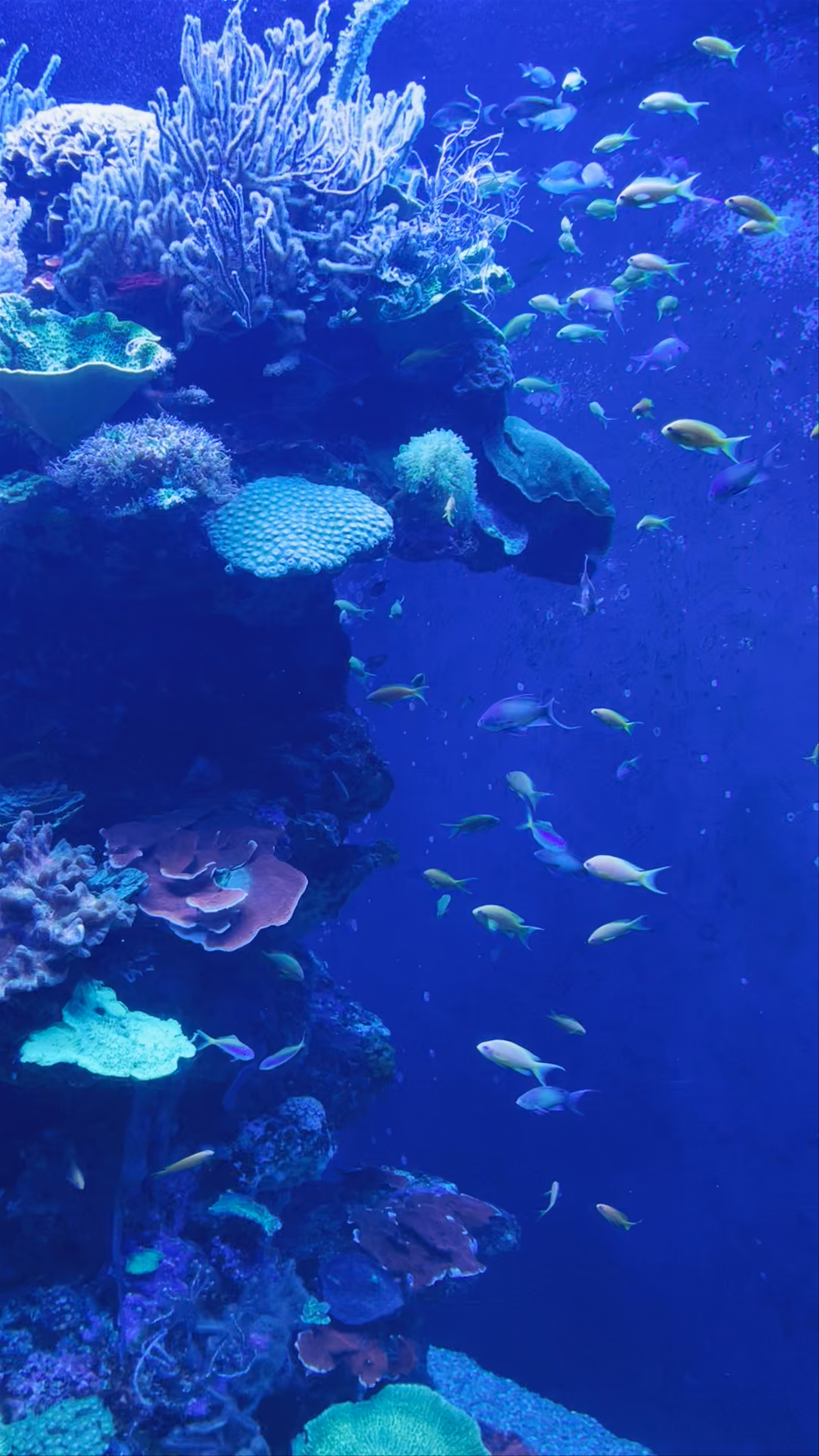 Palma Aquarium