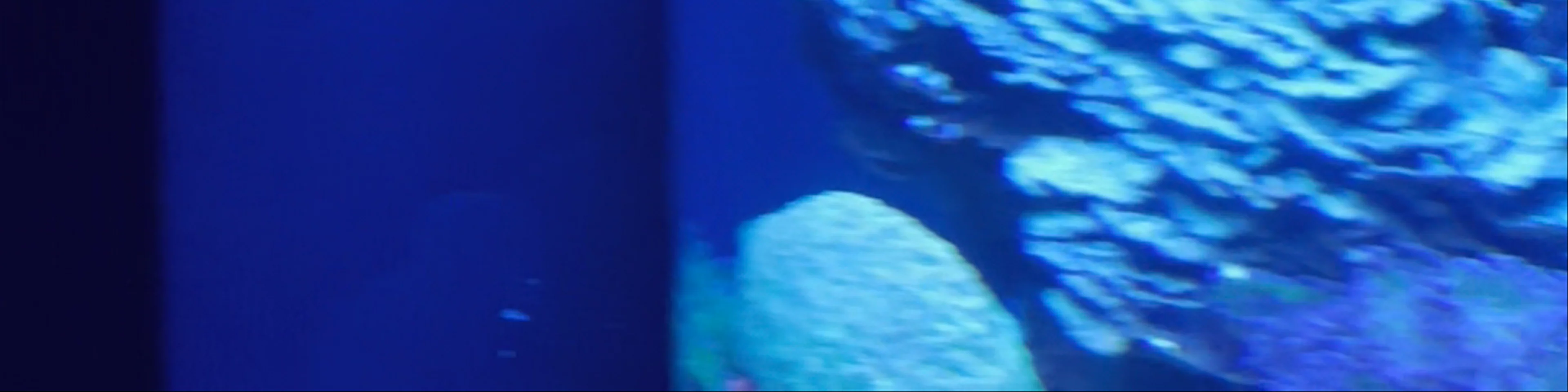 Palma Aquarium