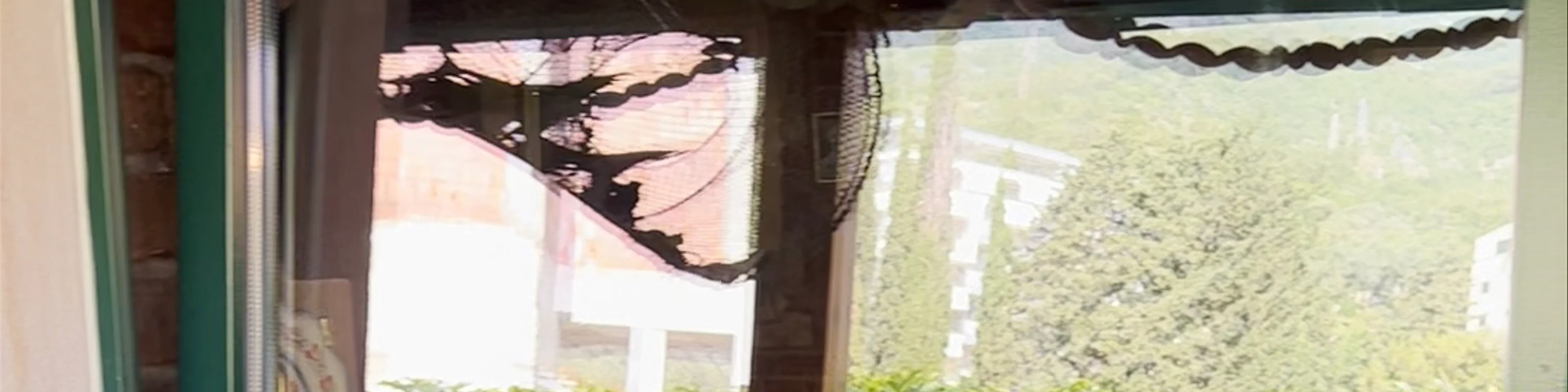 Blanche Restaurant