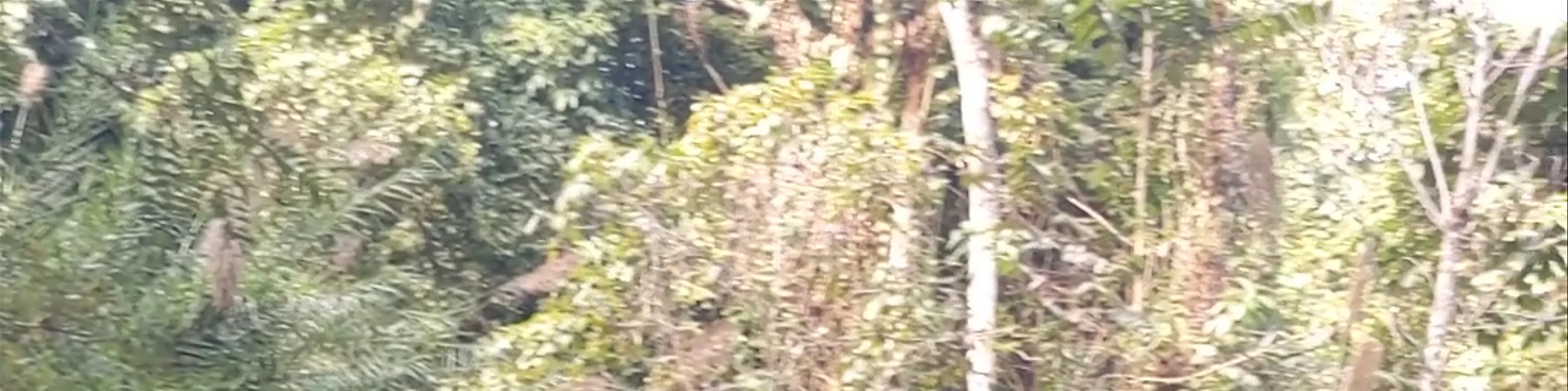 Kuang Si Waterfall