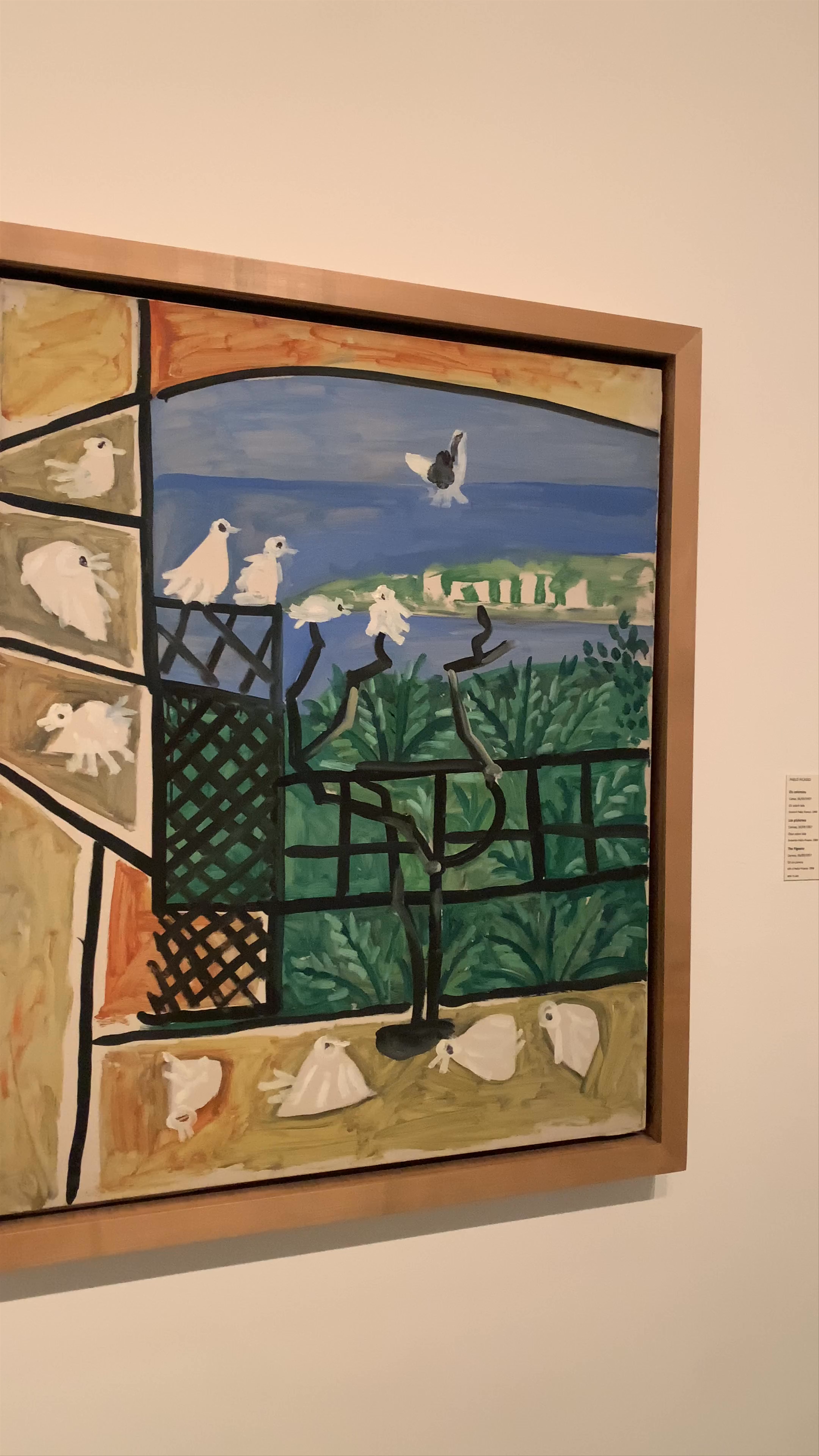 Museo Picasso