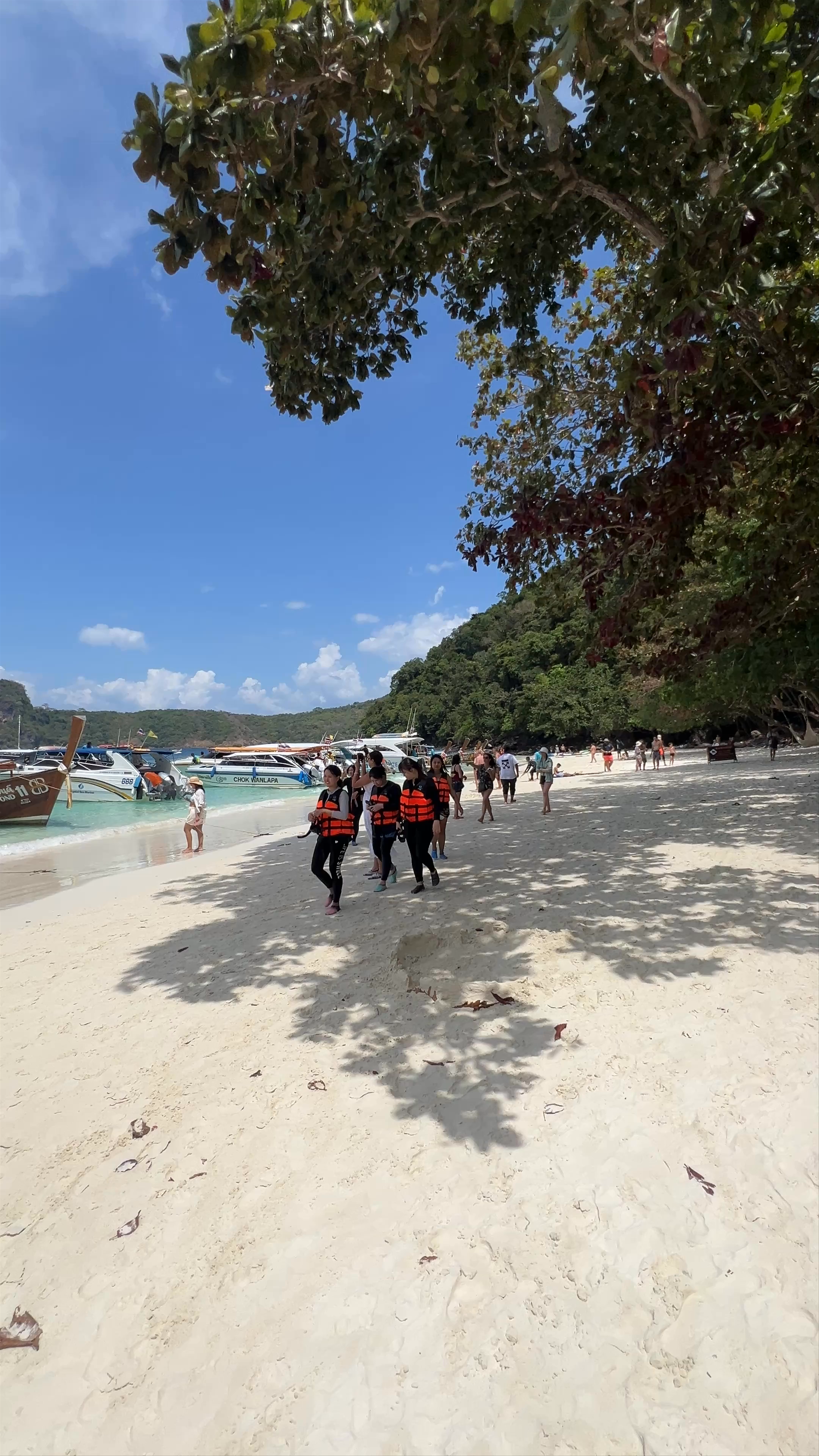 Monkey Beach