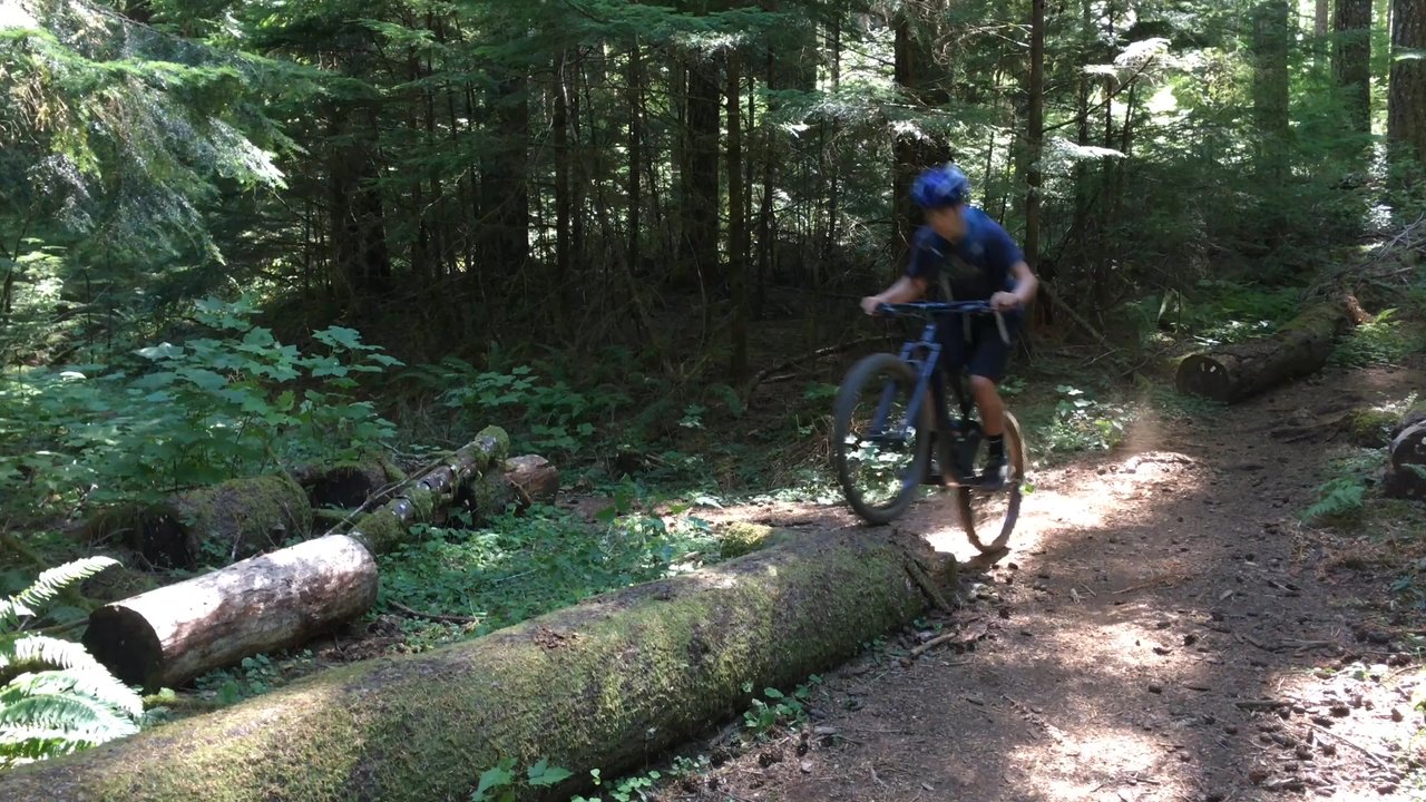 Marys Peak - MTB down Mary's Peak... - Hiking Near Me - Philomath, Oregon