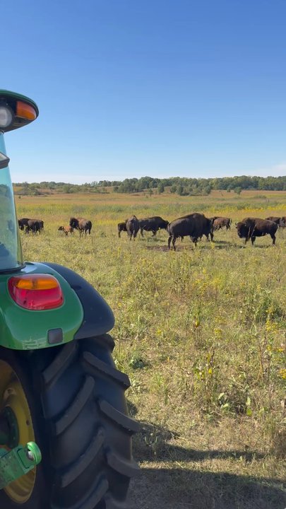The Nature Conservancy - Parks Near Me - Franklin Grove, Illinois