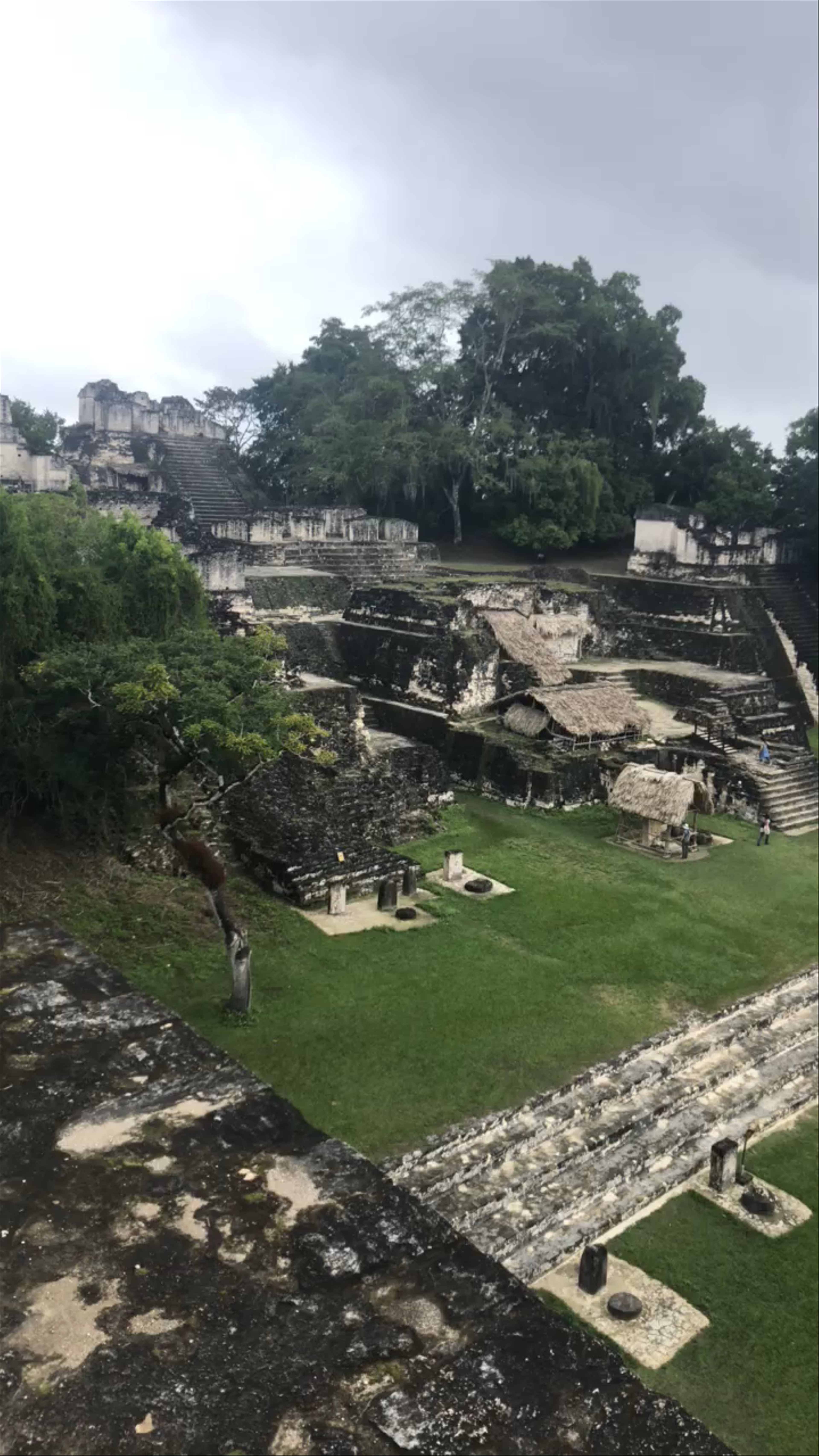 TIKAL National Park