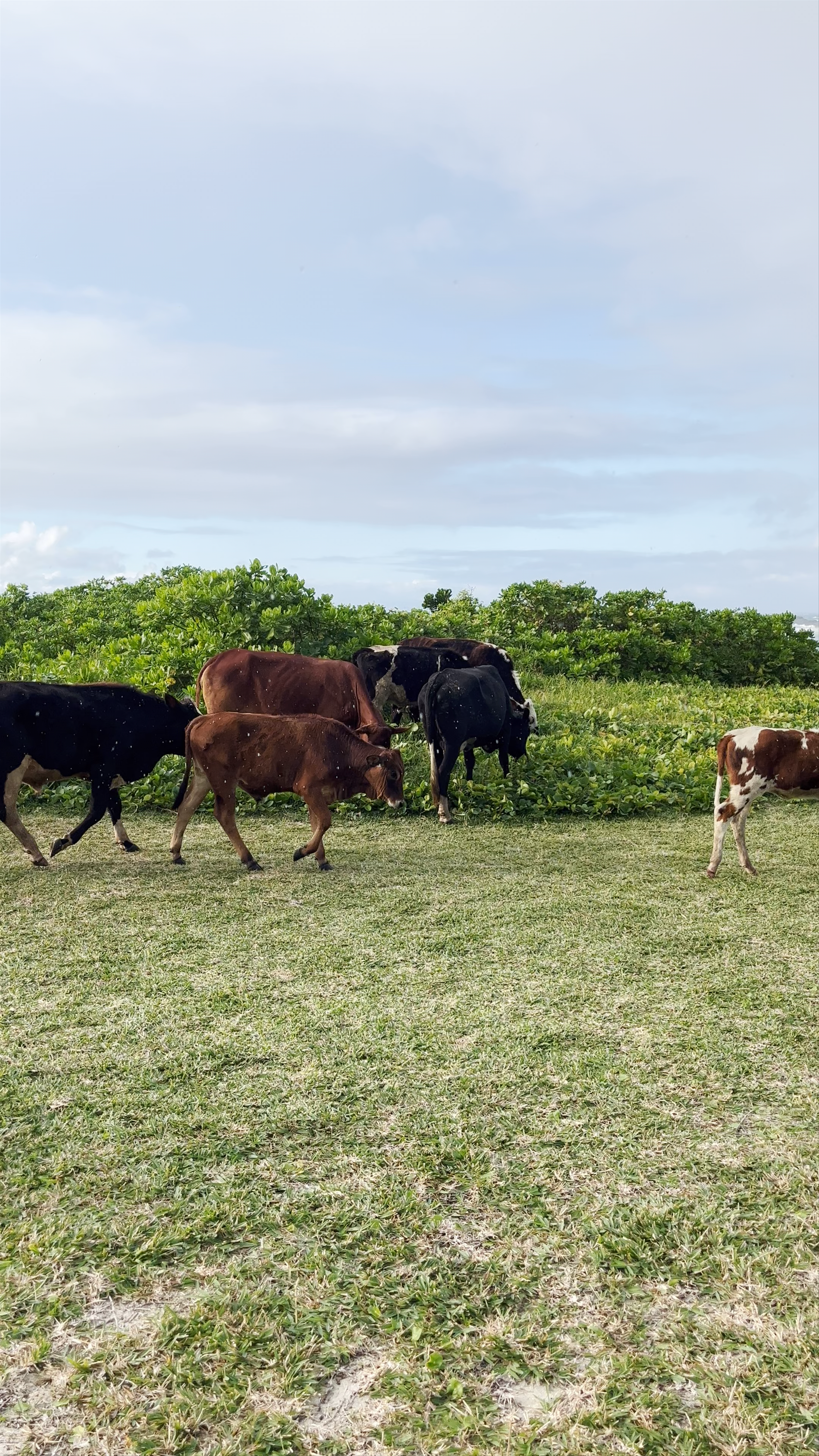 Anantara Iko Mauritius Resort & Villas
