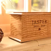 Product video, thumbnail 2 of 13