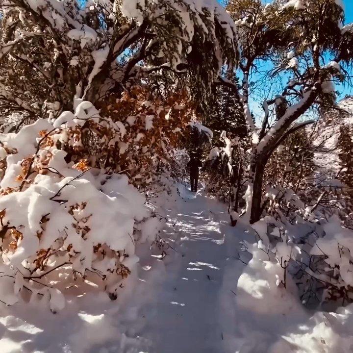 Adams Canyon Trail - This trail is such a beautiful winter wonderland!! December 2021 - Hiking Near Me - Layton, Utah