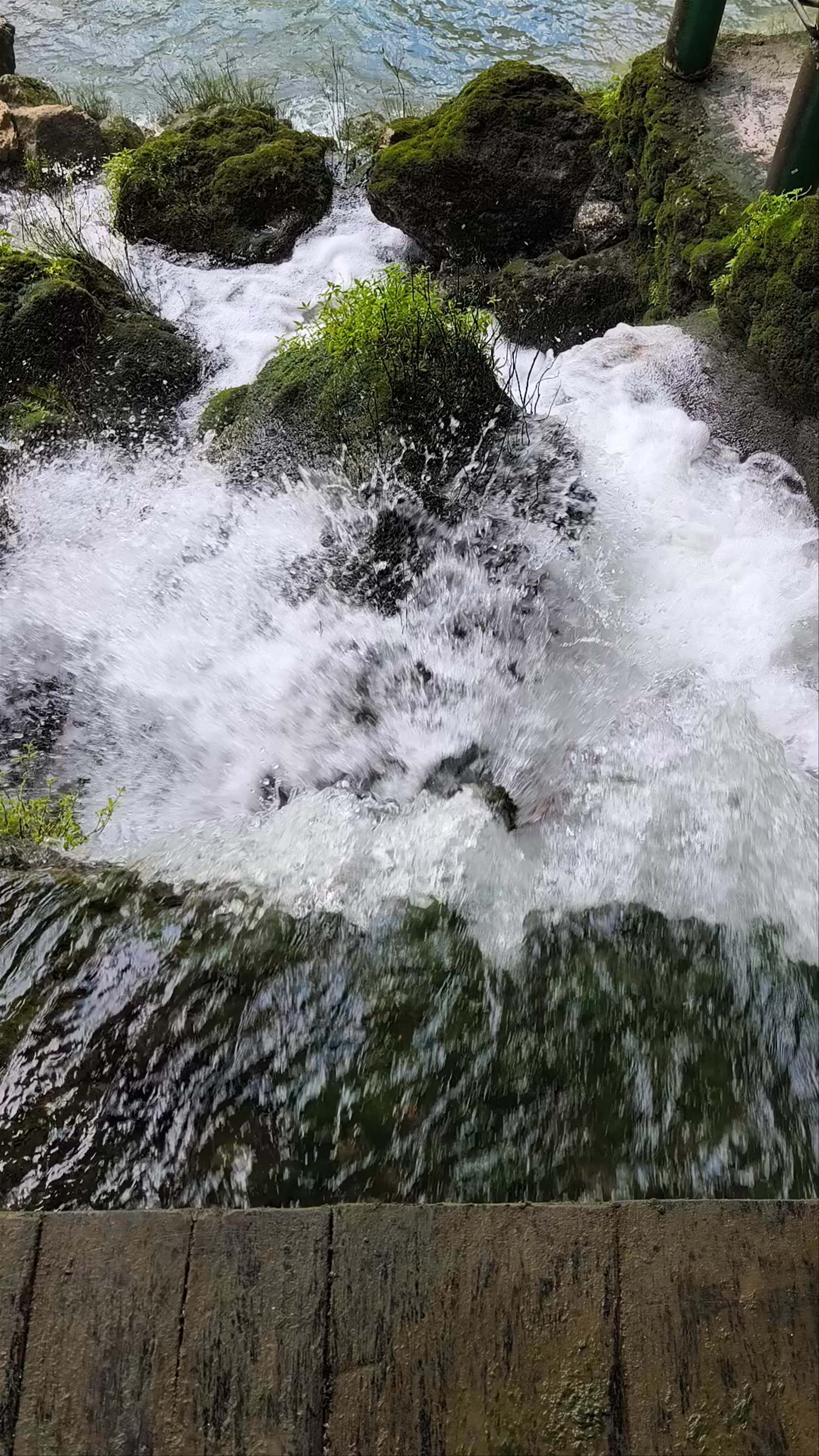 Misolha