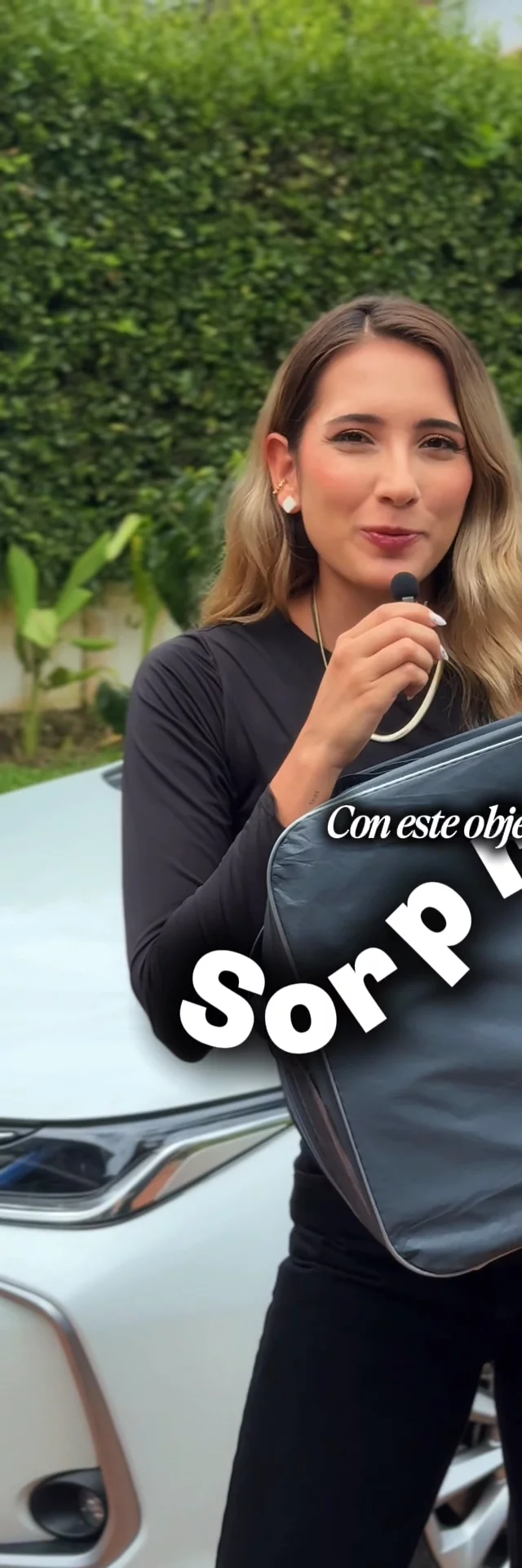 Objeto sorpresa...