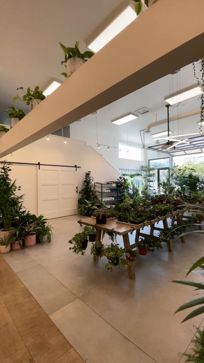Plants by Post - Nurseries & Gardening Near Me - Campbell, California