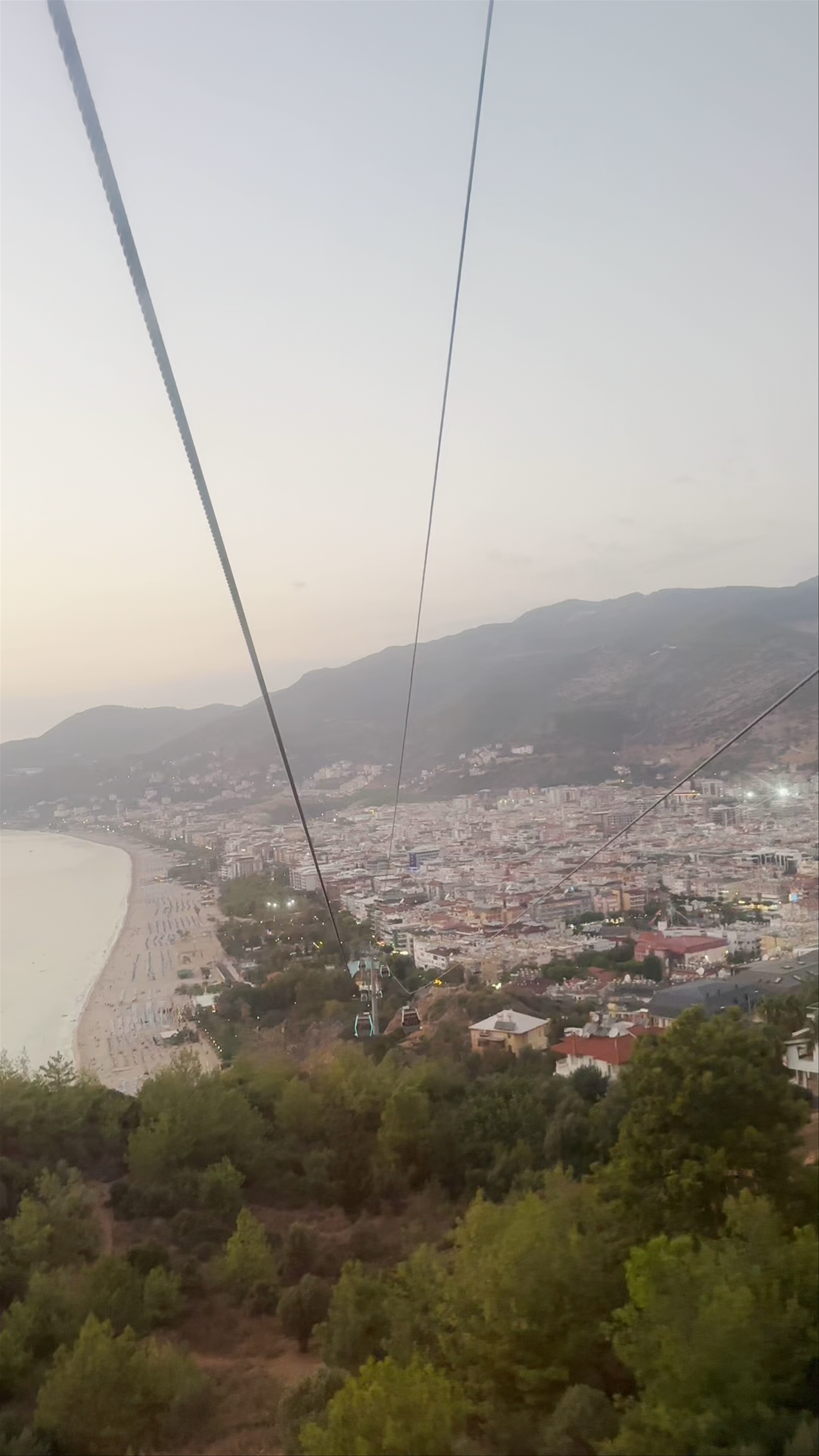 Saray