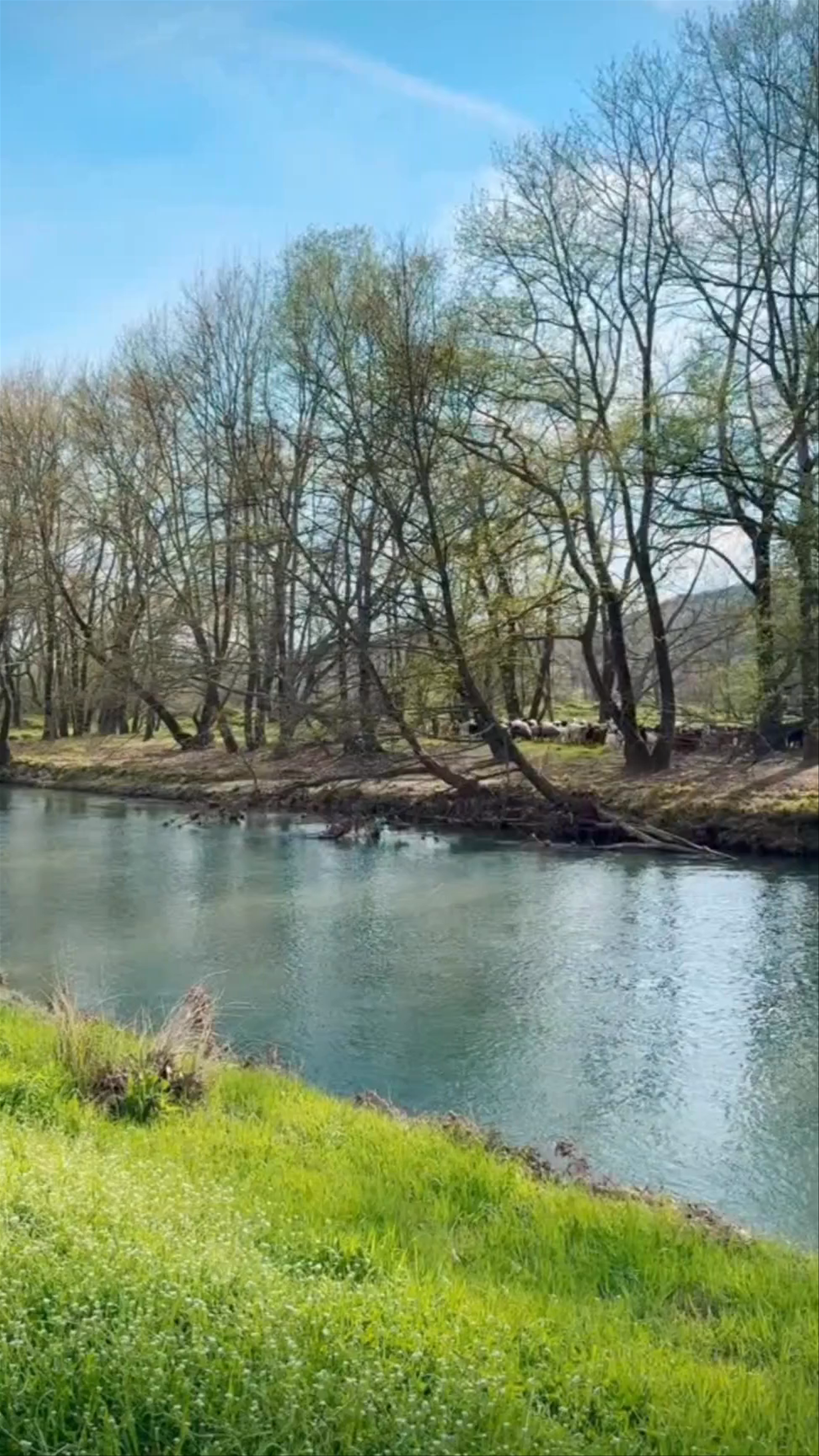 Spring Serenity Along Moglenitsas River, Greece