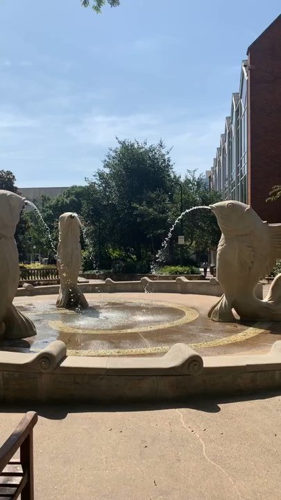 The Green - Parks Near Me - Charlotte, North Carolina
