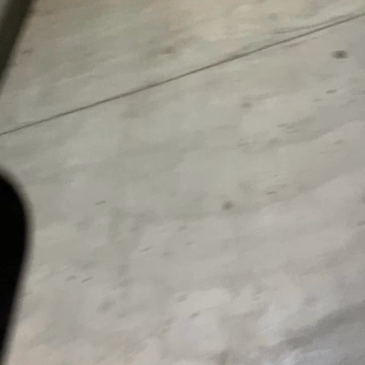 Alta West Commerce - The noise this woman emits from her apartment on a regular basis is unreal. Asked her to turn it down, she turned it up! - Apartments Near Me - Dallas, Texas