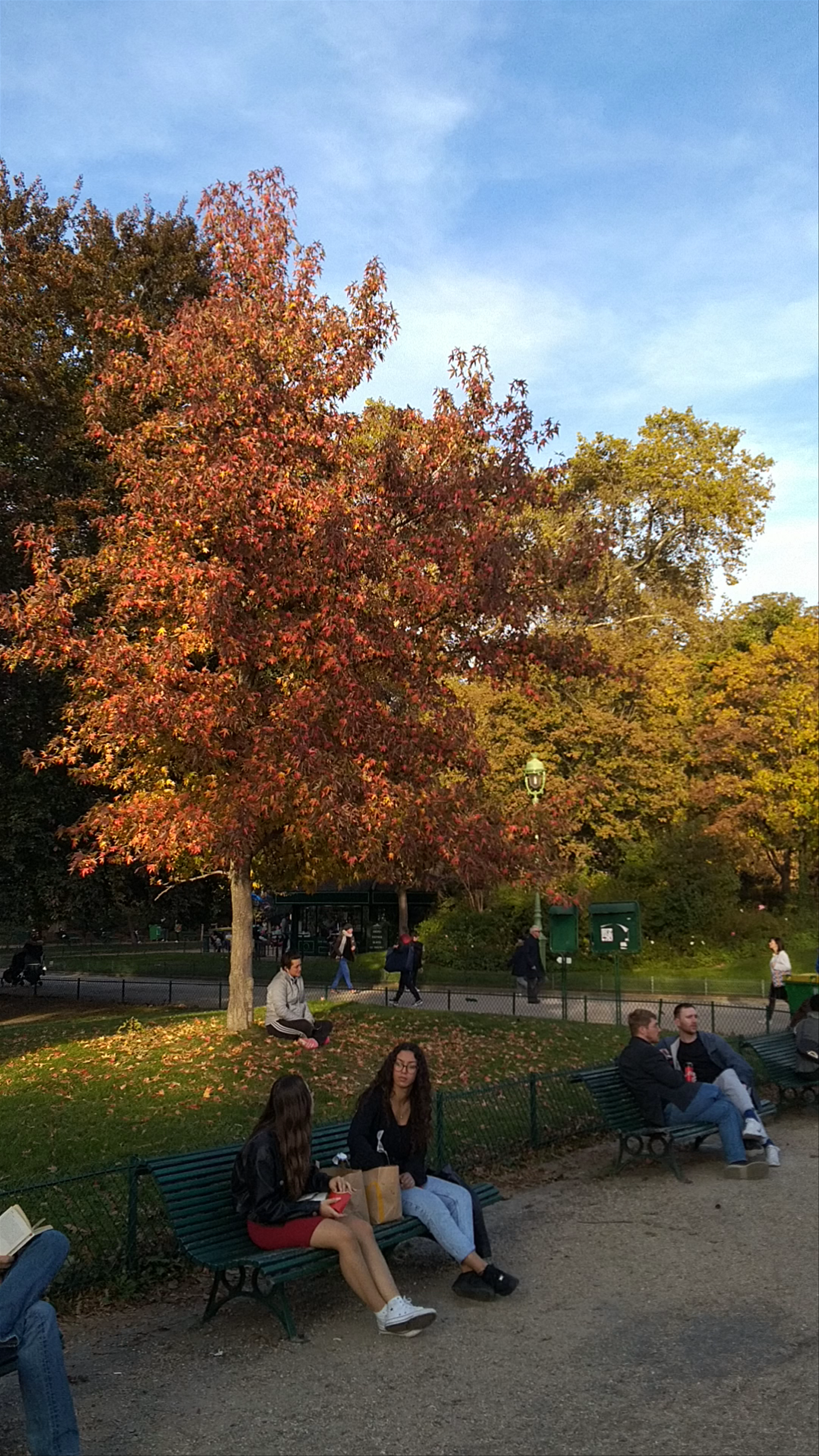 Parc Monceau: Autumn Serenity in Paris' Elegant Green Space