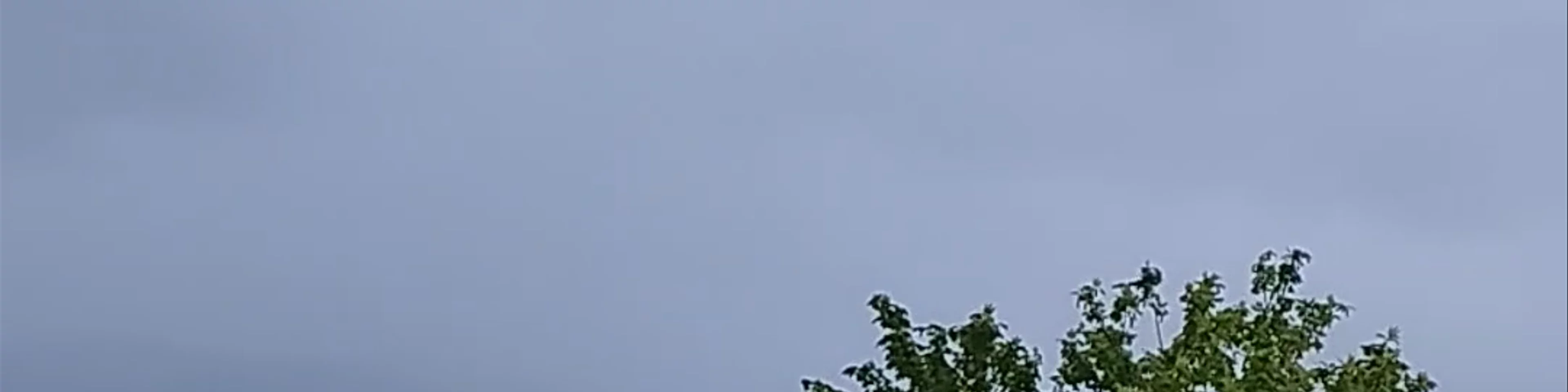 Letrero Niebla - Carrera Iturgoyen