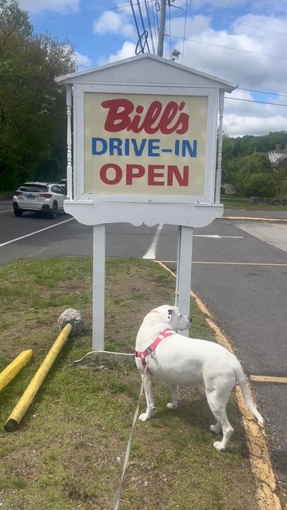 BILL’S DRIVE-IN - Updated July 2026 - 60 Photos & 90 Reviews - 431 ...