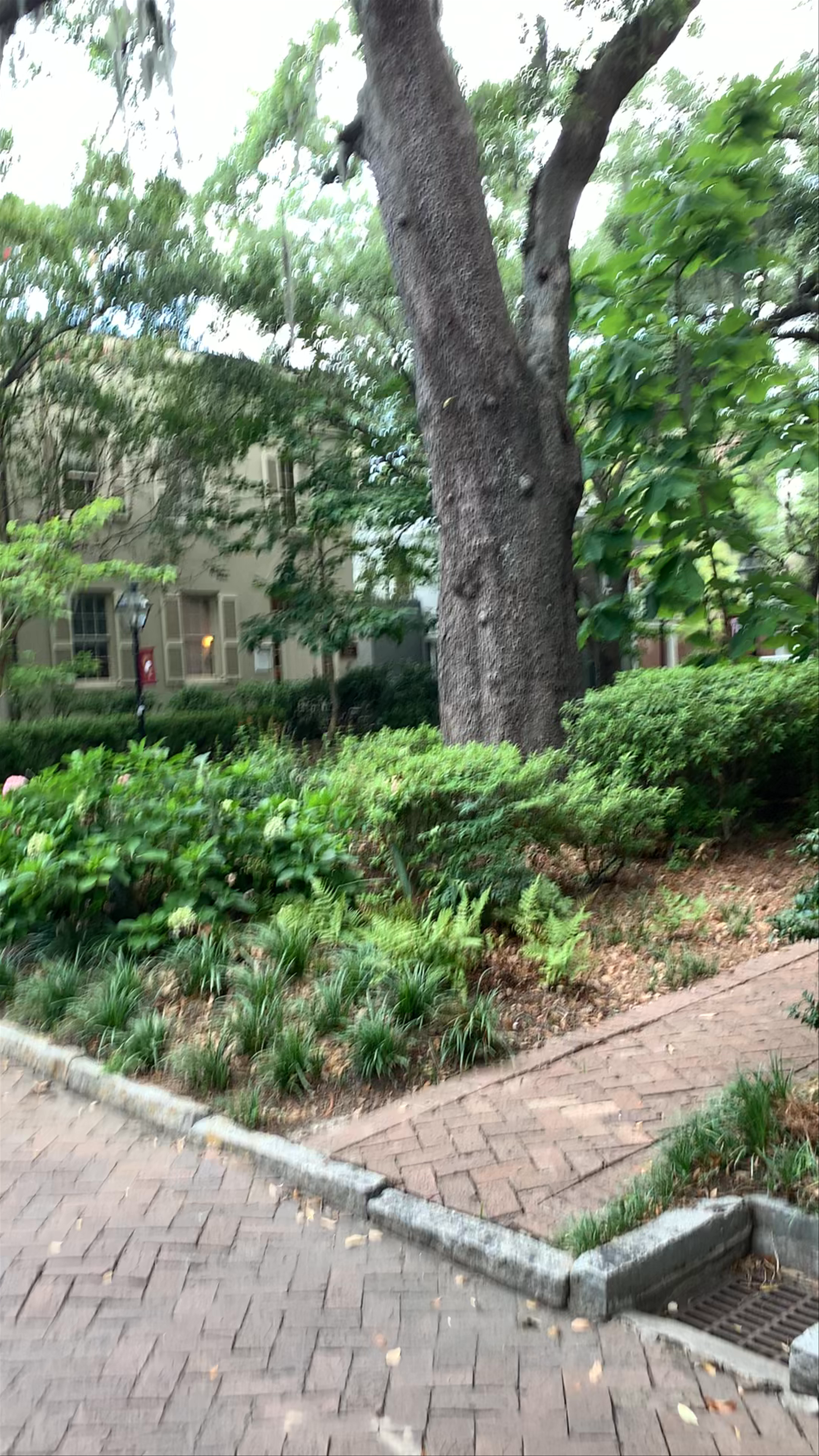 Randolph Hall
