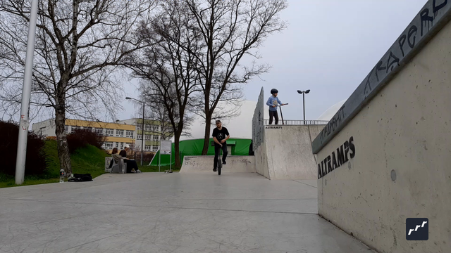riu submission: Varialflip