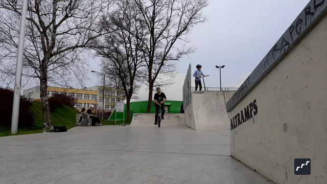 riu submission: Varialflip