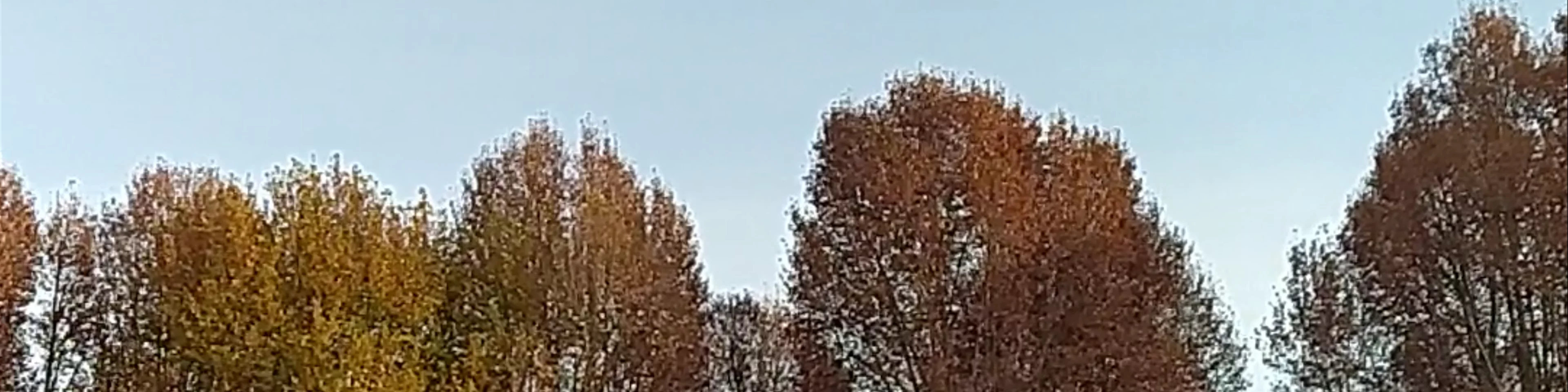 Giardini Reali